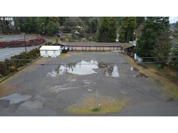 a open area with lots of trees