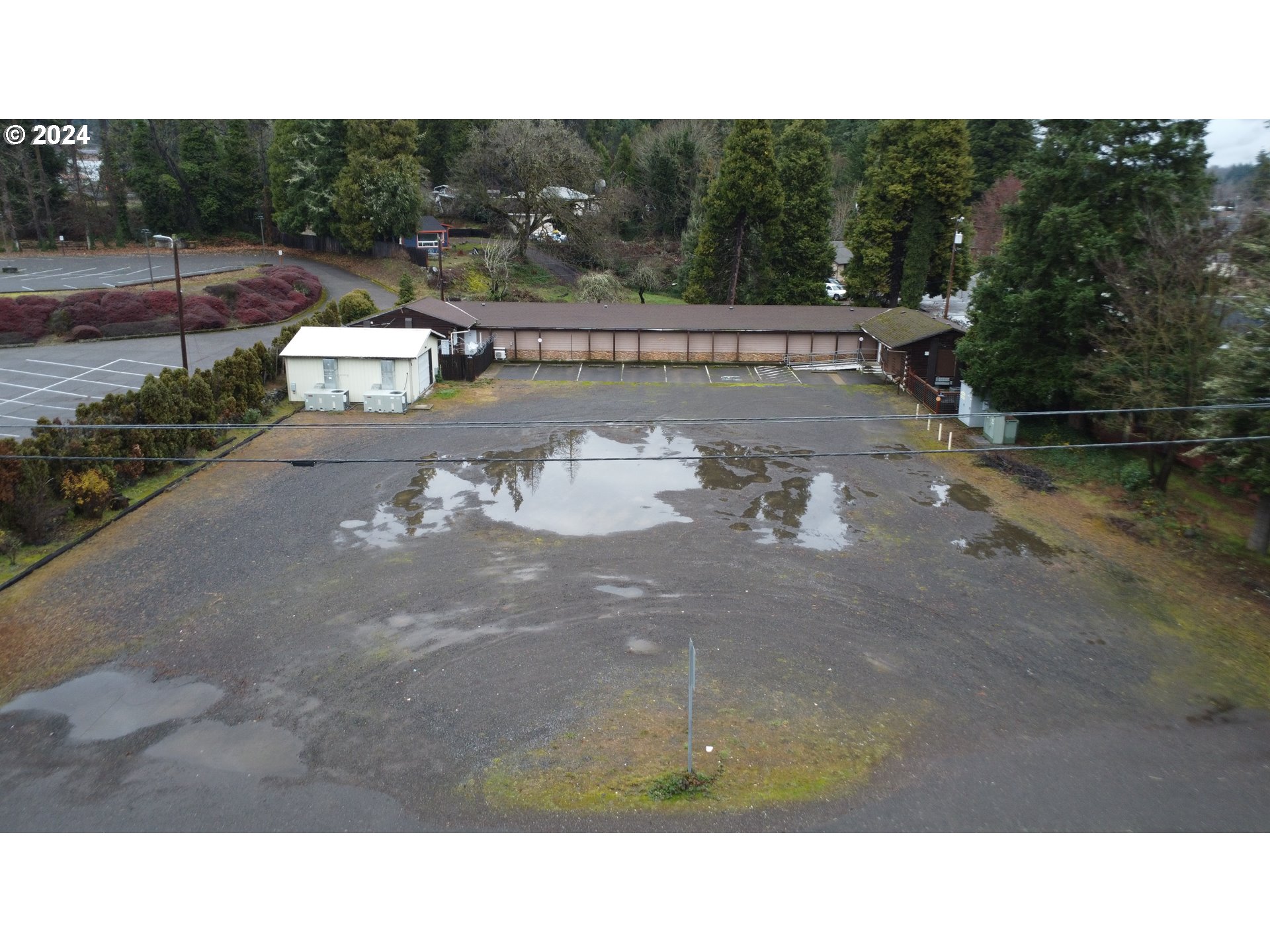 a open area with lots of trees