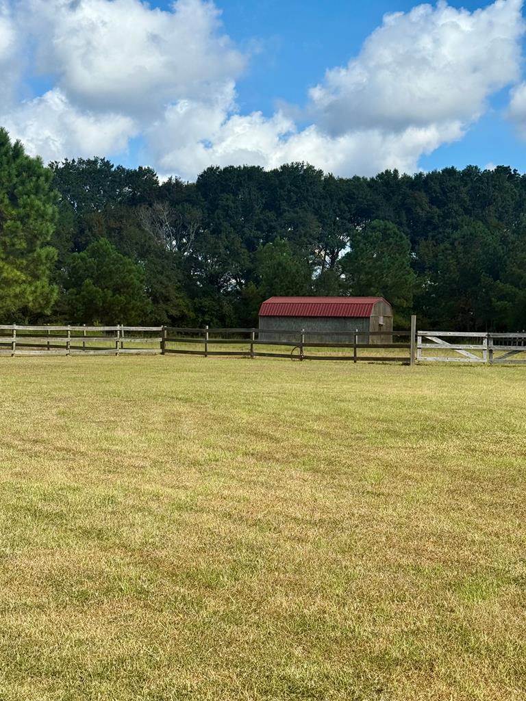 3115 Cumbie Road Newton, AL 36352 - Photo 62 of 65