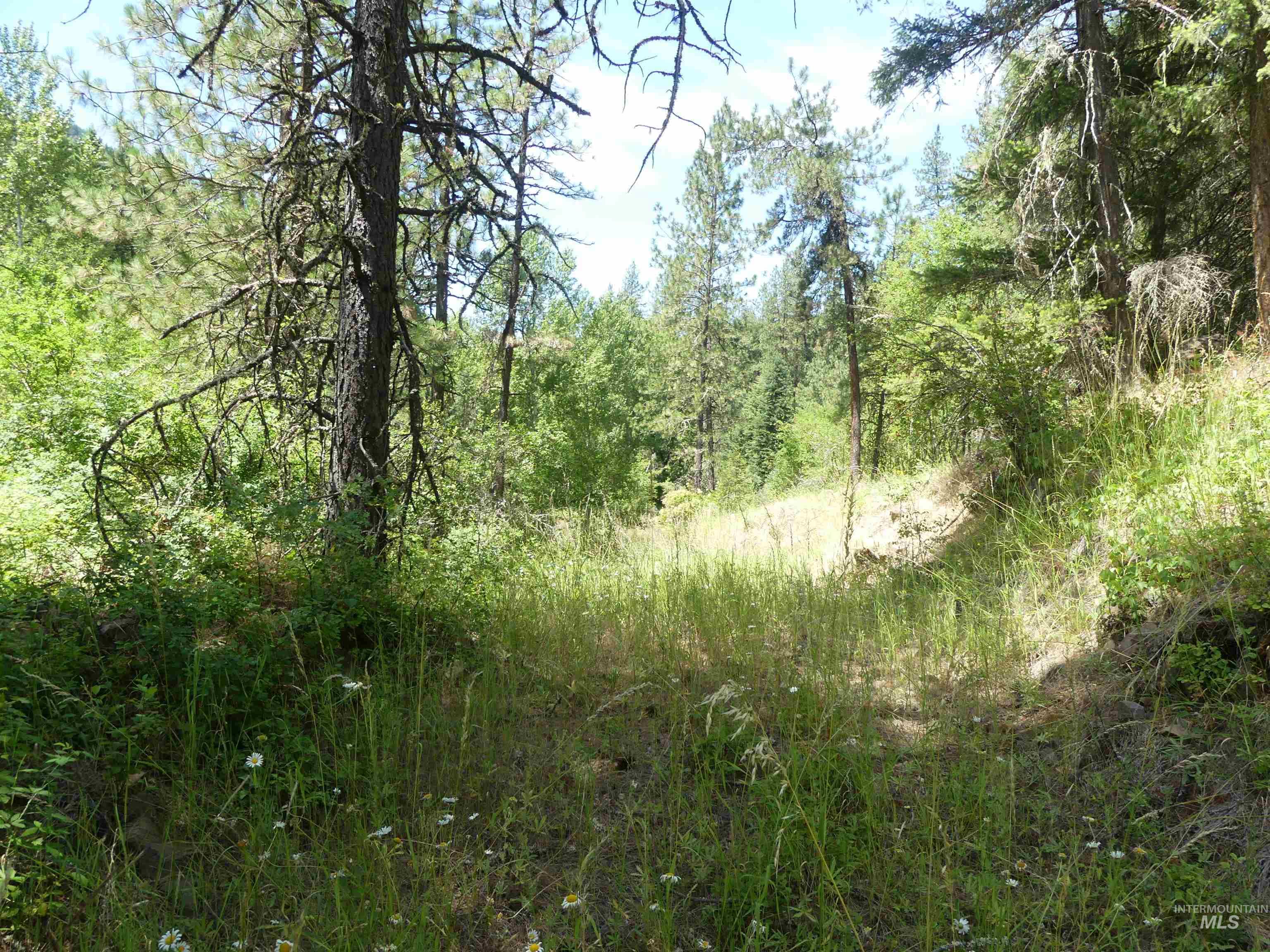 46601 Little Canyon Road Orofino, ID 83544 - Photo 29 of 46