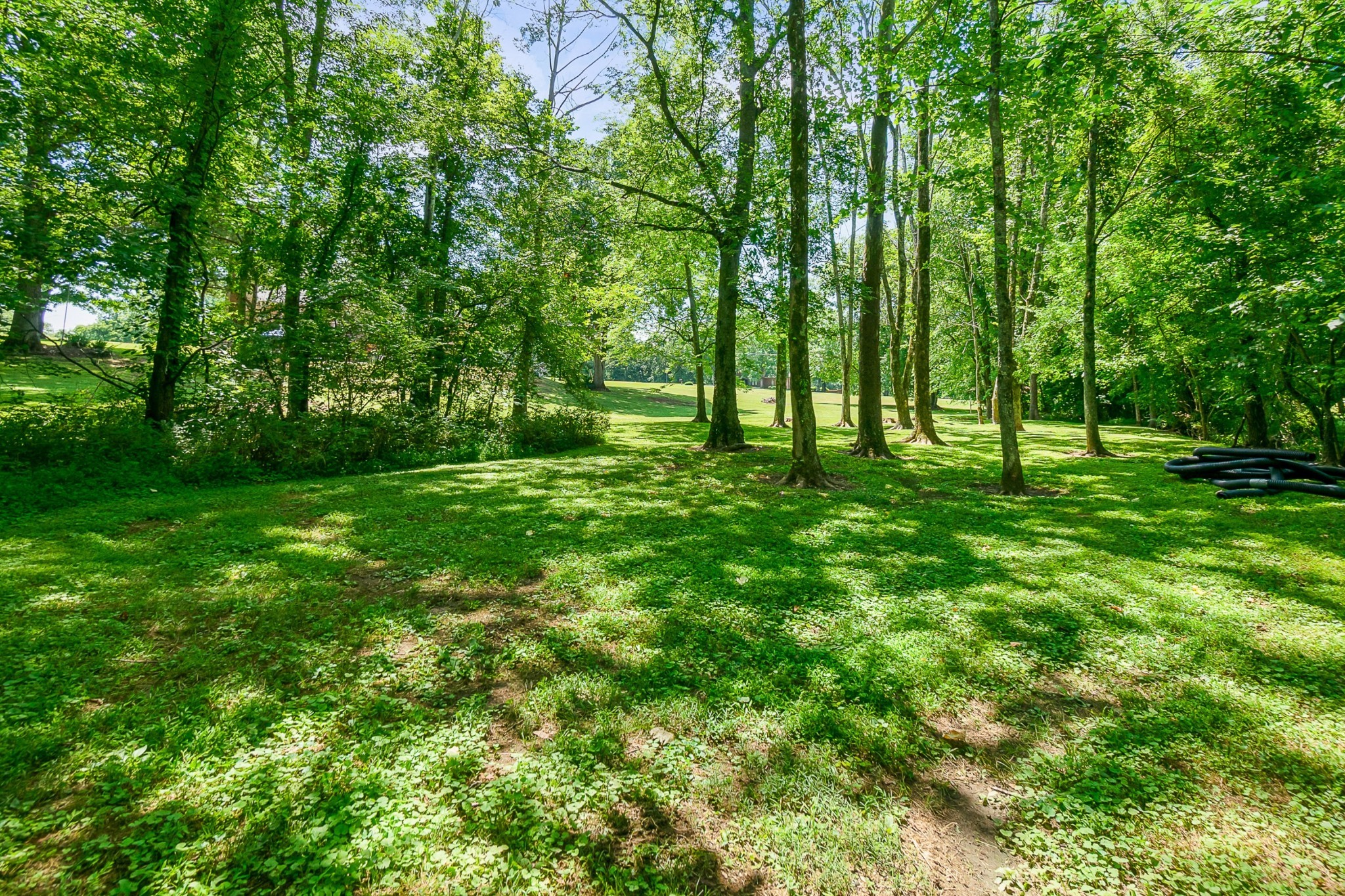 1109 Roseland Road Columbia, TN 38401 - Photo 51 of 62 Gallery Image 51