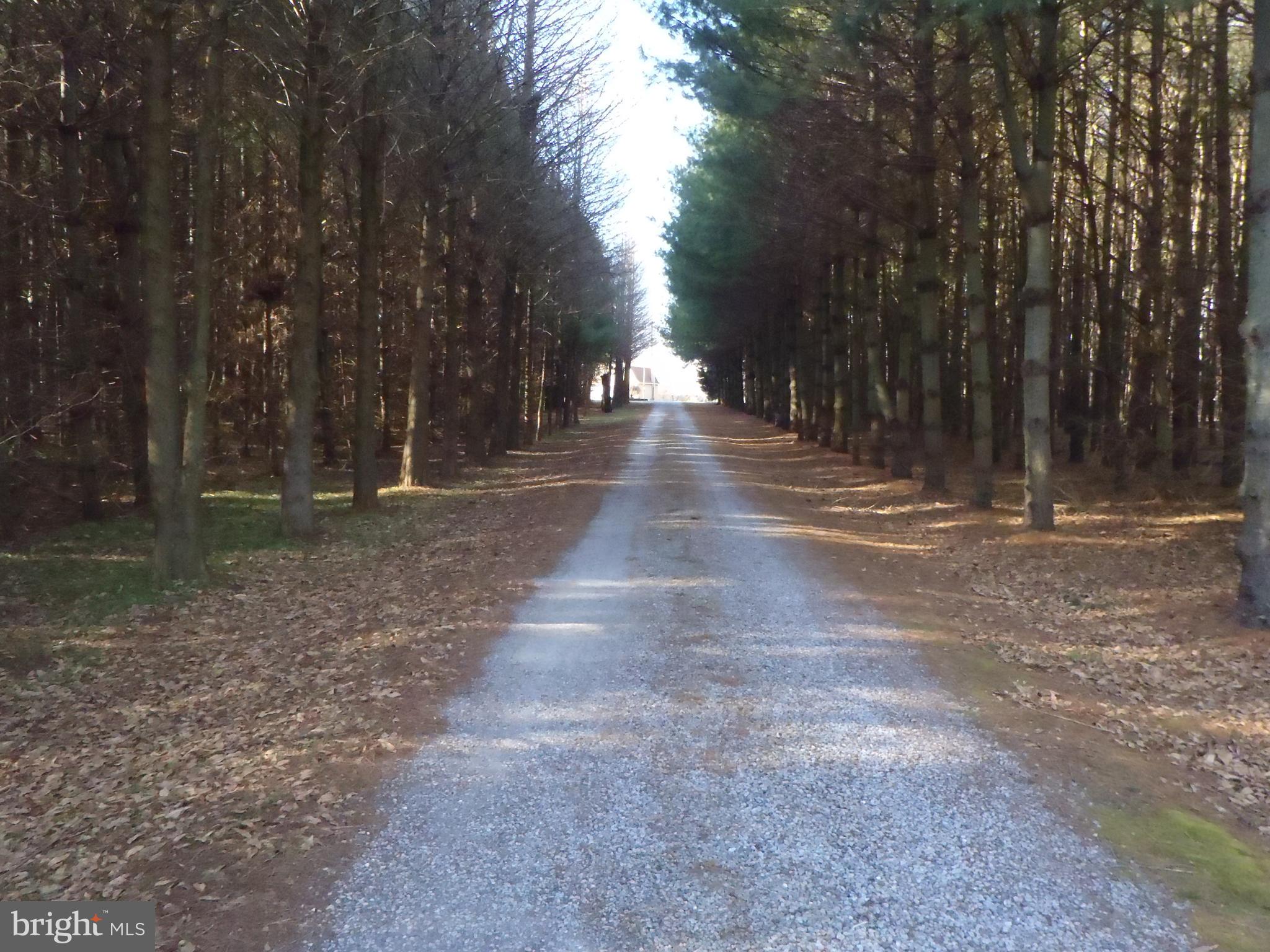 7424 Cherry Walk Road Hebron, MD 21830 - Photo 2 of 59 Driveway Entrance