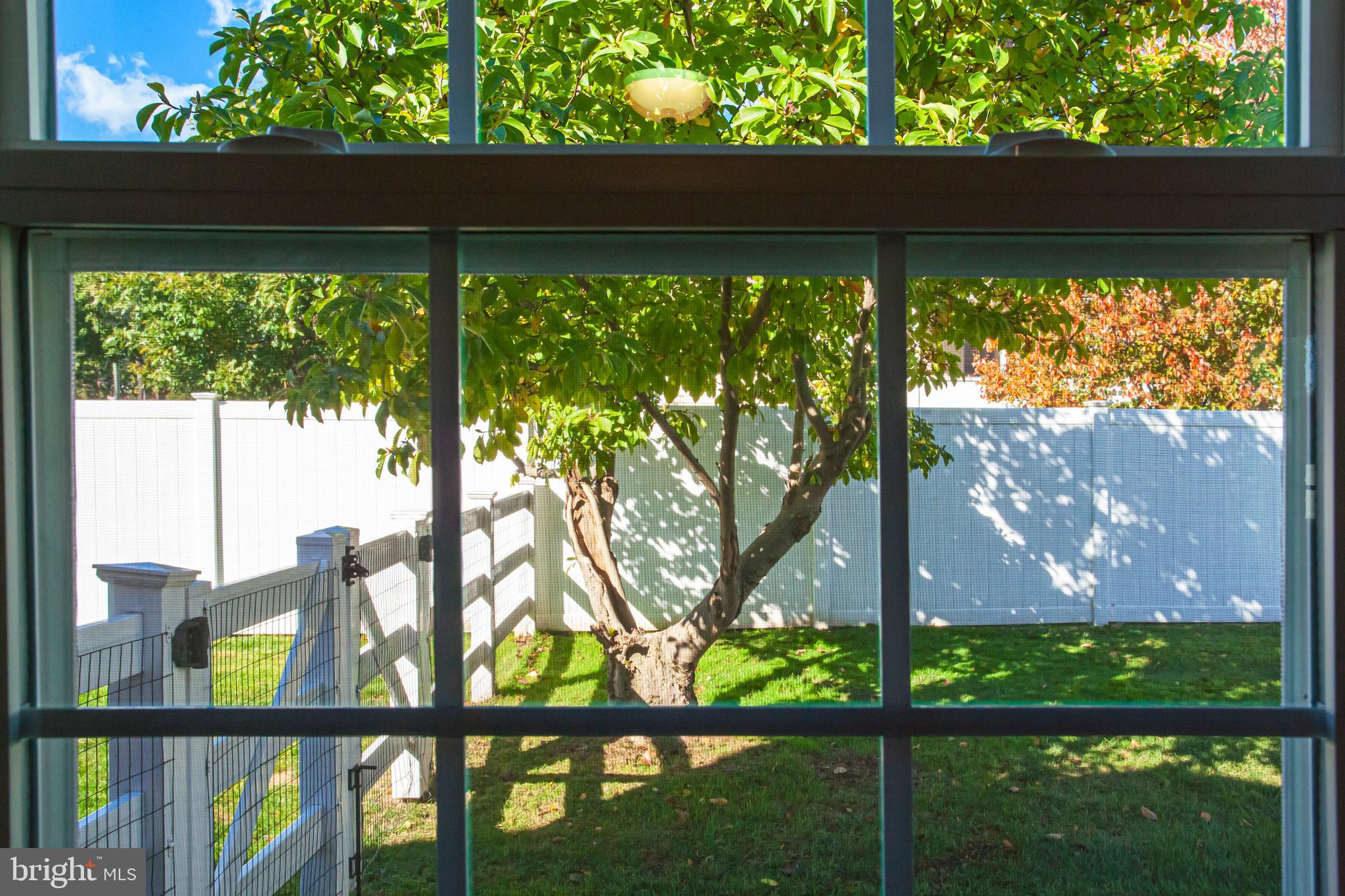 143 Appledale Road Audubon, PA 19403 - Photo 9 of 26 View from Master Bedroom