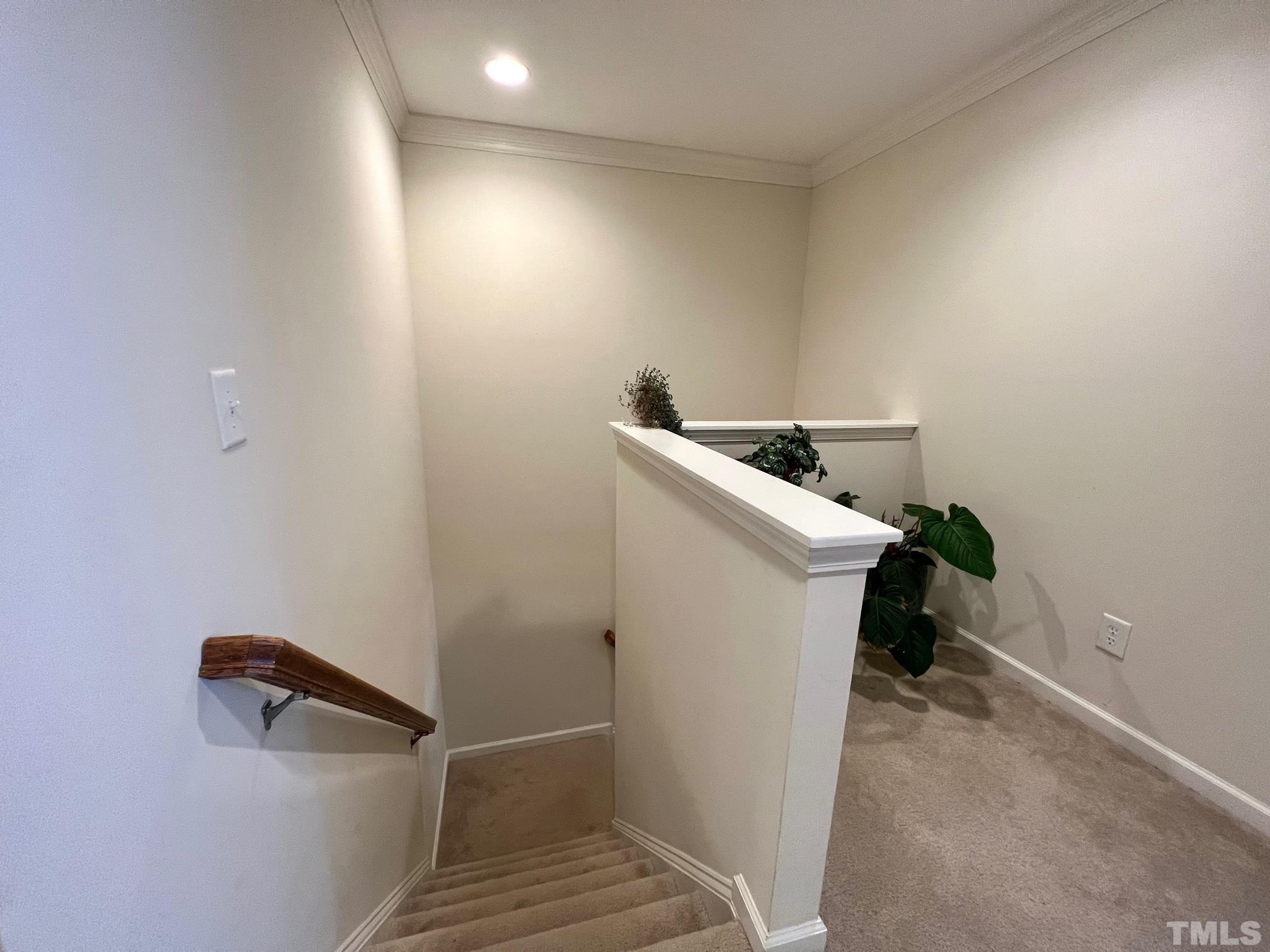 4704 Altha Street Raleigh, NC 27606 - Photo 8 of 15 Gallery Image 8