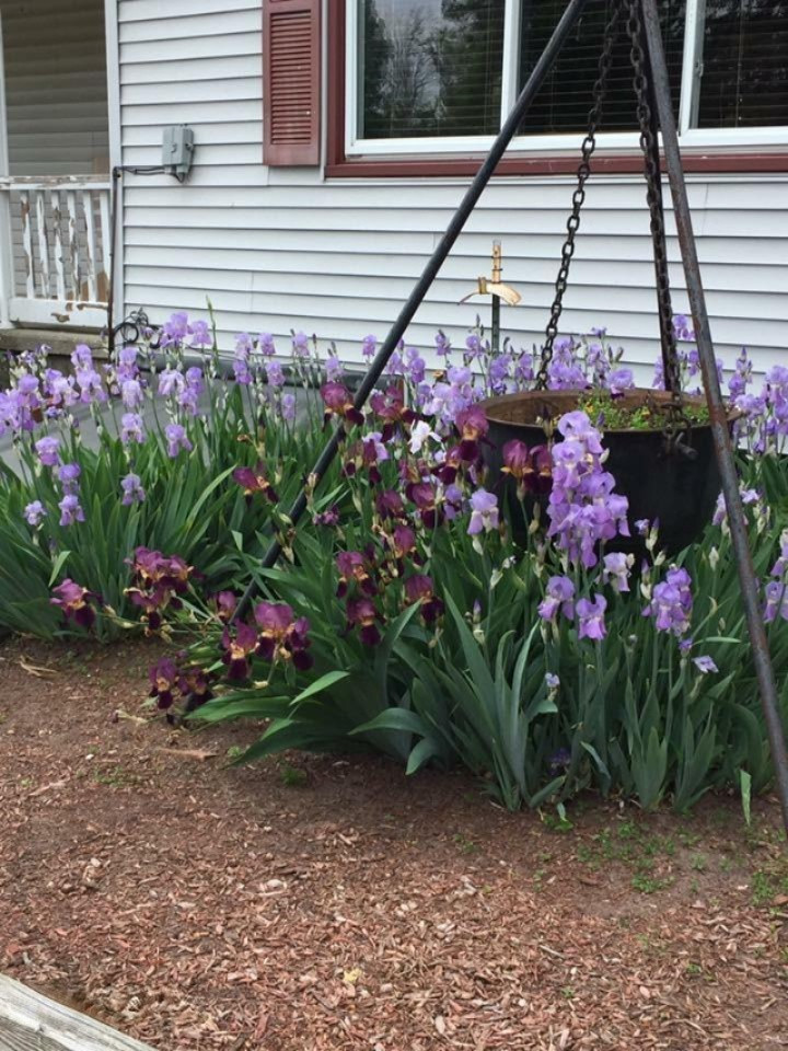 855 17 Mile Road Northeast Cedar Springs, MI 49319 - Photo 13 of 93 IMG_0218