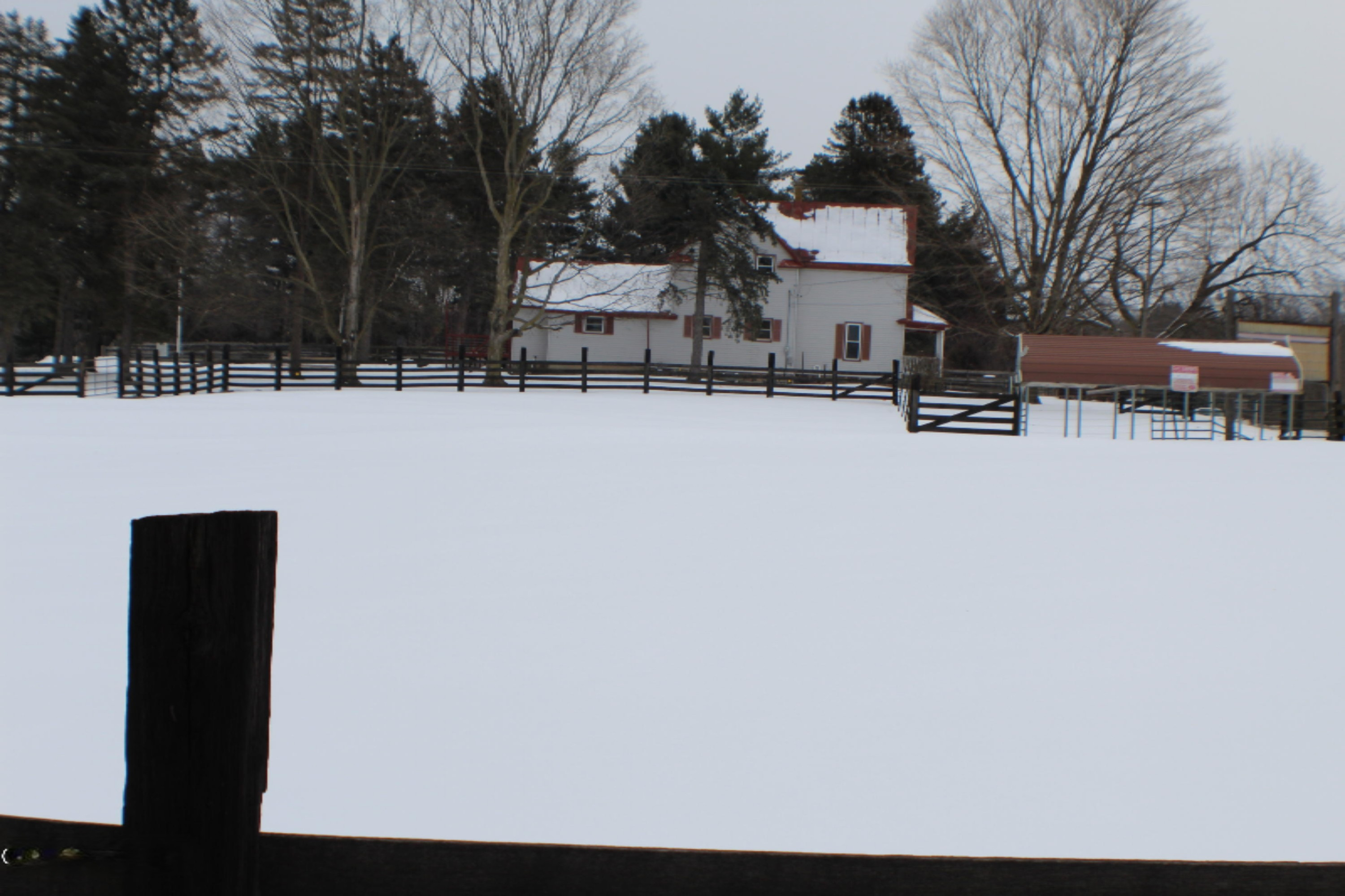 855 17 Mile Road Northeast Cedar Springs, MI 49319 - Photo 66 of 93 IMG_2221