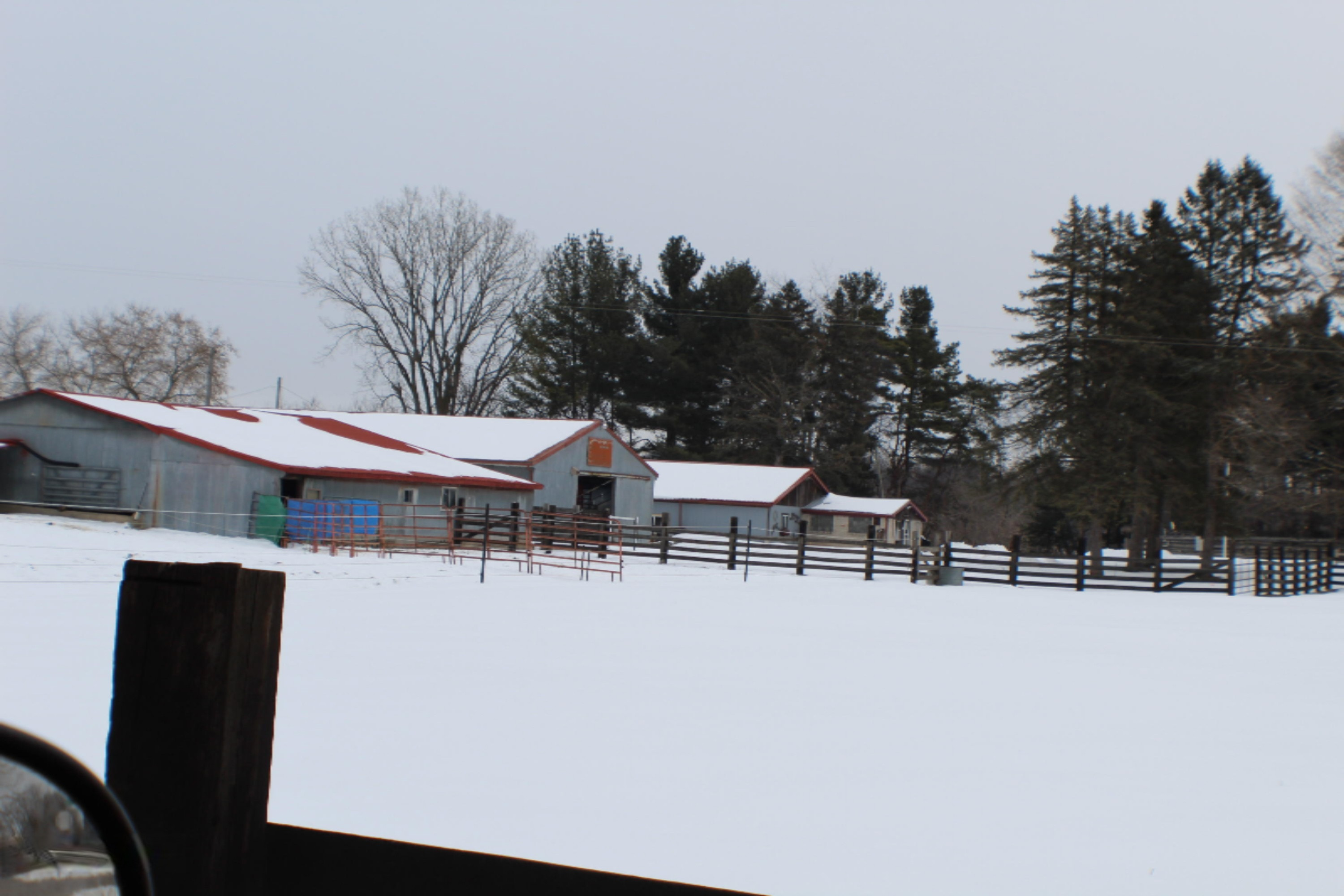 855 17 Mile Road Northeast Cedar Springs, MI 49319 - Photo 67 of 93 IMG_2222