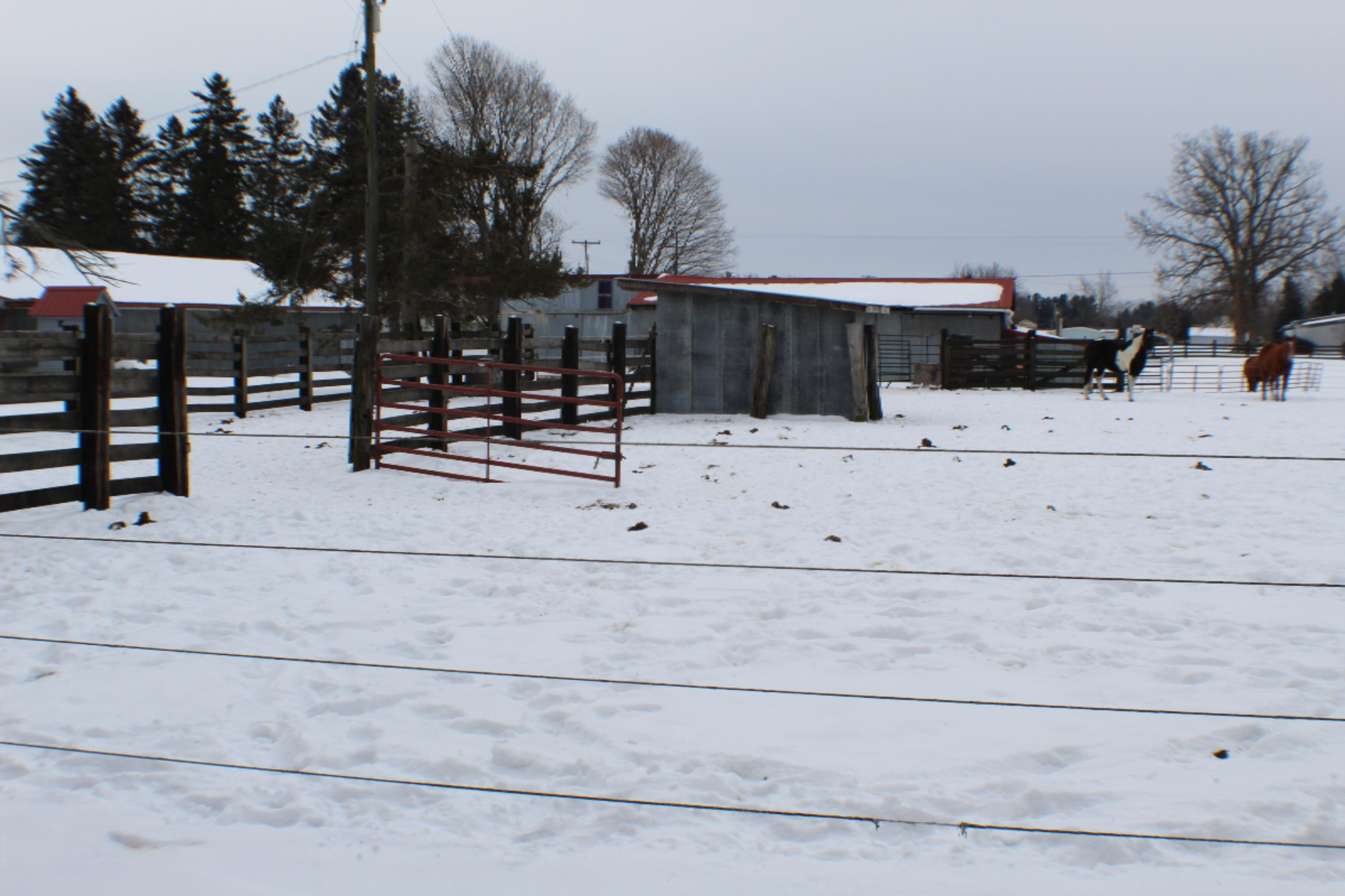 855 17 Mile Road Northeast Cedar Springs, MI 49319 - Photo 70 of 93 IMG_2228