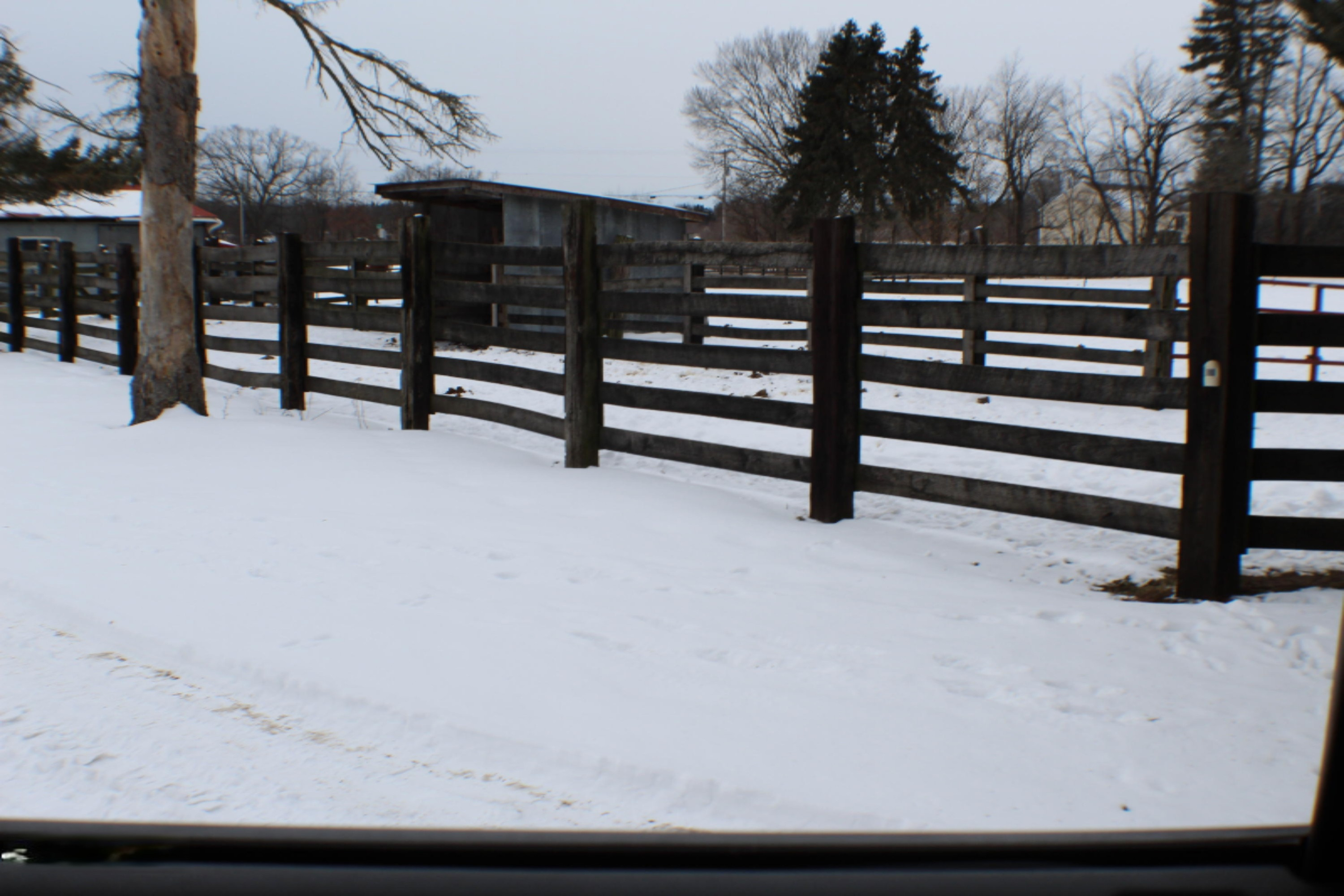 855 17 Mile Road Northeast Cedar Springs, MI 49319 - Photo 71 of 93 IMG_2229