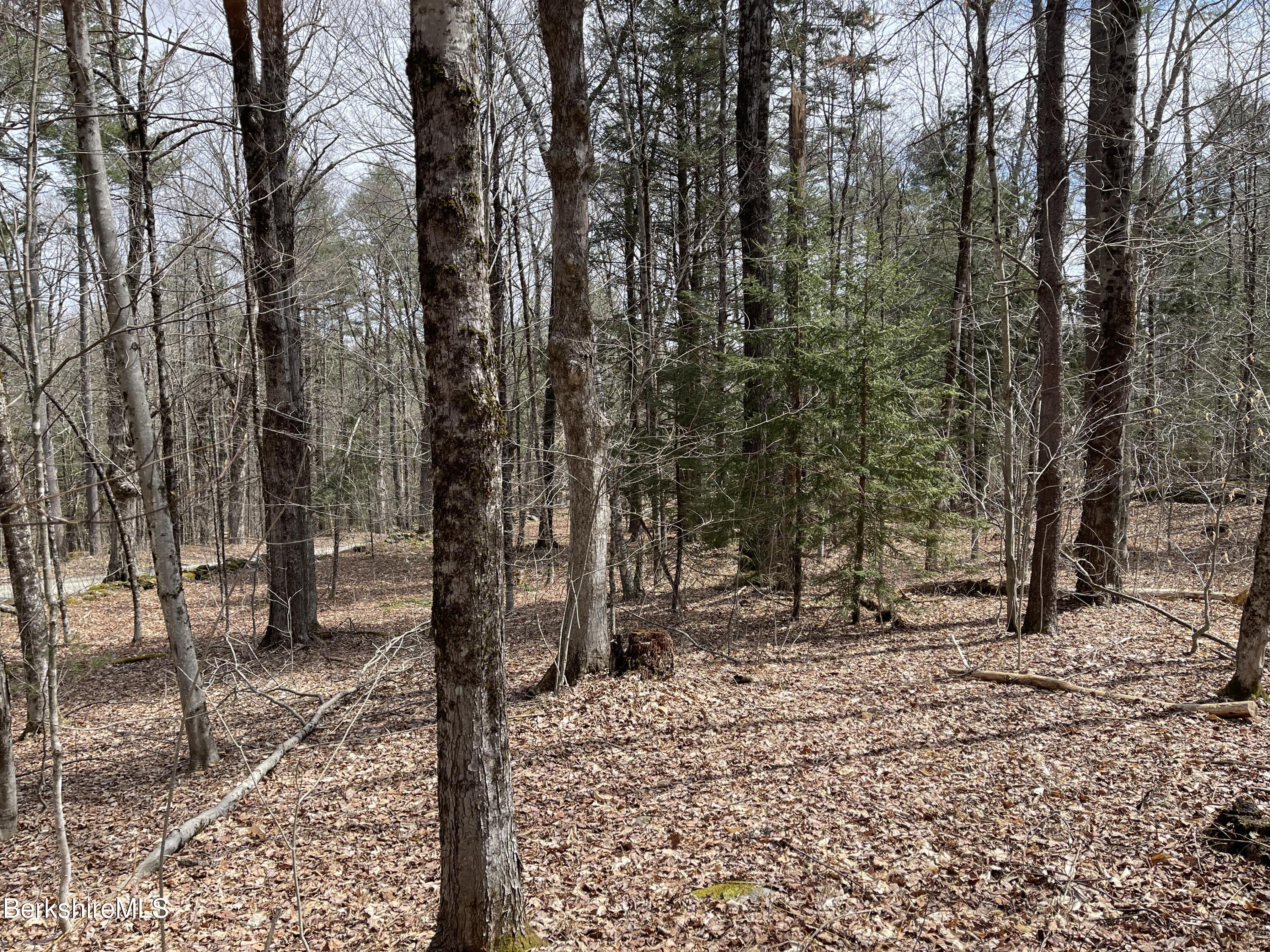 B Campbell Road Plainfield, MA 01070 - Photo 6 of 7 IMG-0970