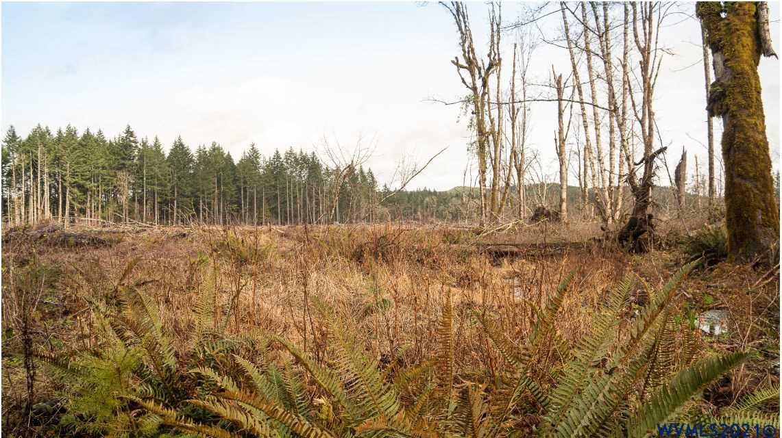 Gooseneck (parcel 289476) Road Sheridan, OR 97378 - Photo 14 of 23