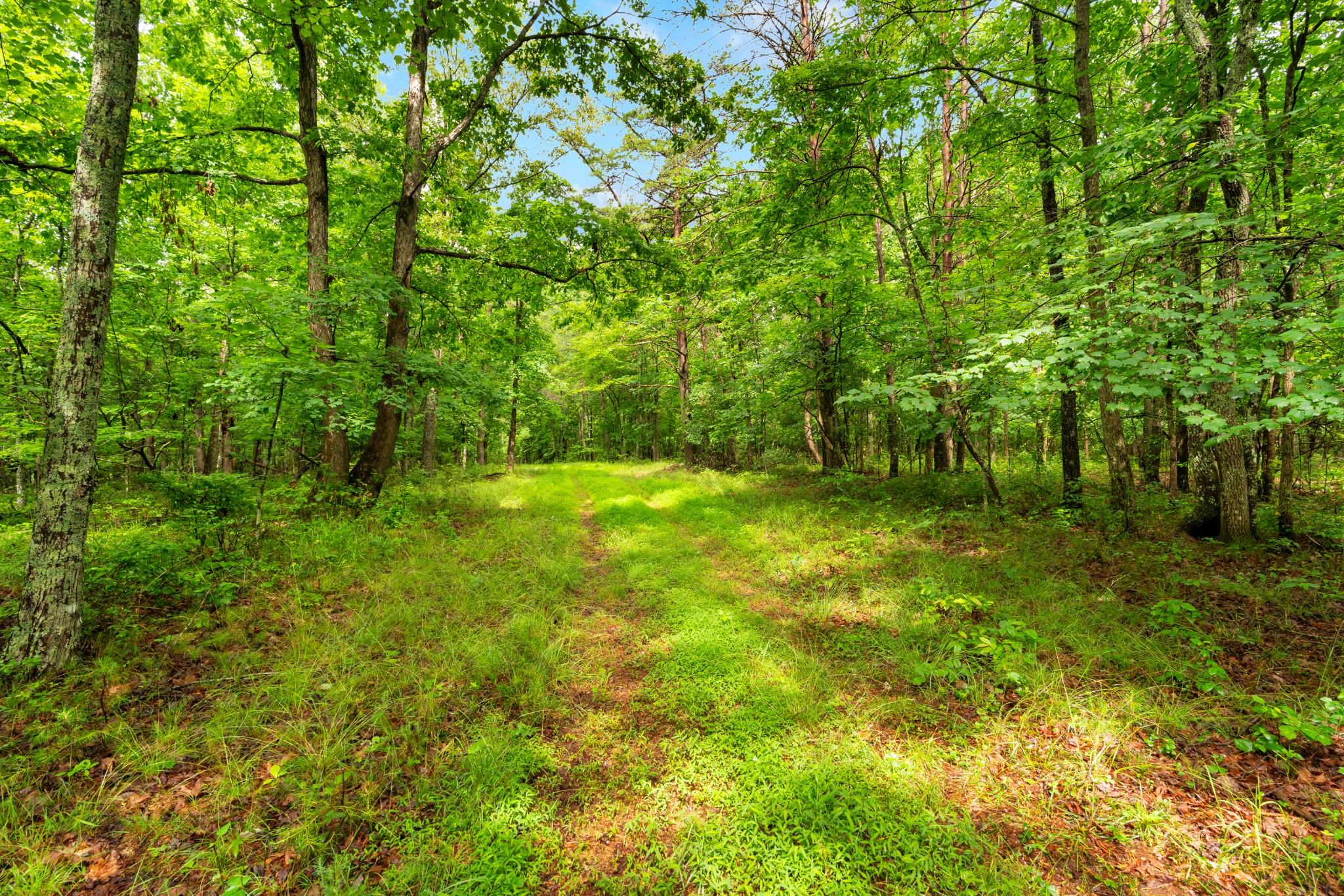 0 Salzer Mountain Road Spencer, TN 38585 - Photo 27 of 28
