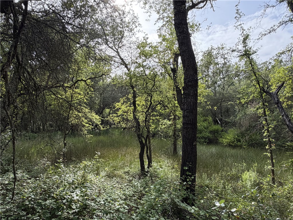 0 Ophir Road Oroville, CA 95966 - Photo 23 of 29 a view of a lake with lots of green space