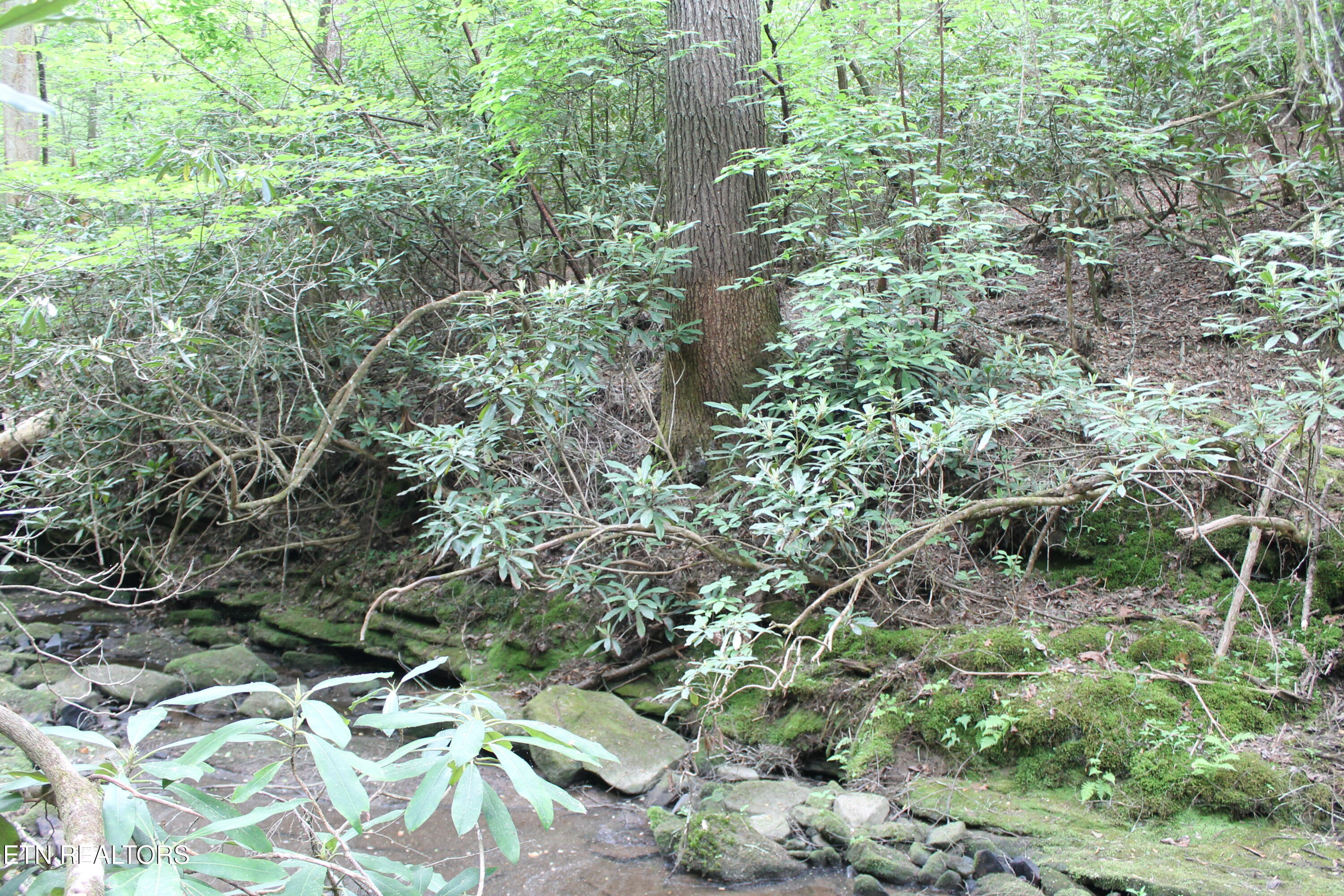232 Wright Cemetery Road Allardt, TN 38504 - Photo 32 of 39 IMG_8072