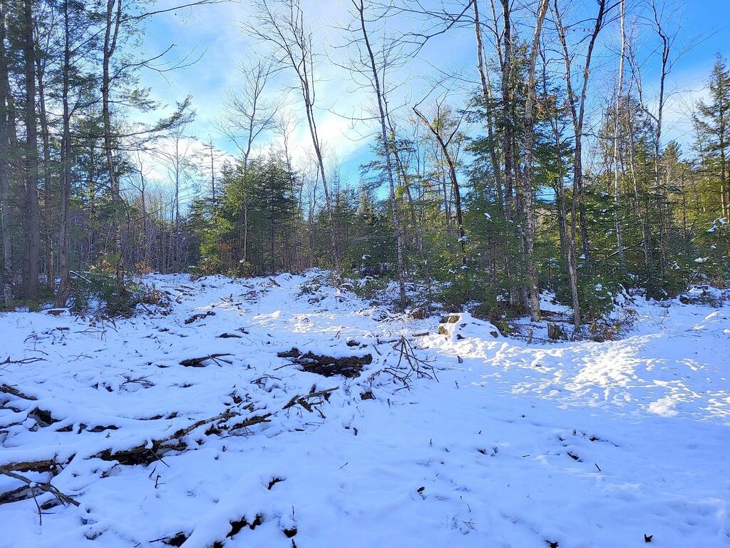 Lot 62.2 Reed's Mill Road Madrid Township, ME 04966 - Photo 3 of 6 20240102_141012_resized