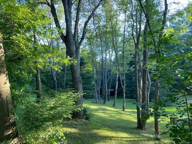 310 Lisbon Road Beaver Falls, PA 15010 - Photo 1 of 1 a view of a park