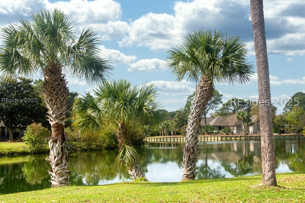 2 Resolute Place Hilton Head Island, SC 29928 - Photo 48 of 56
