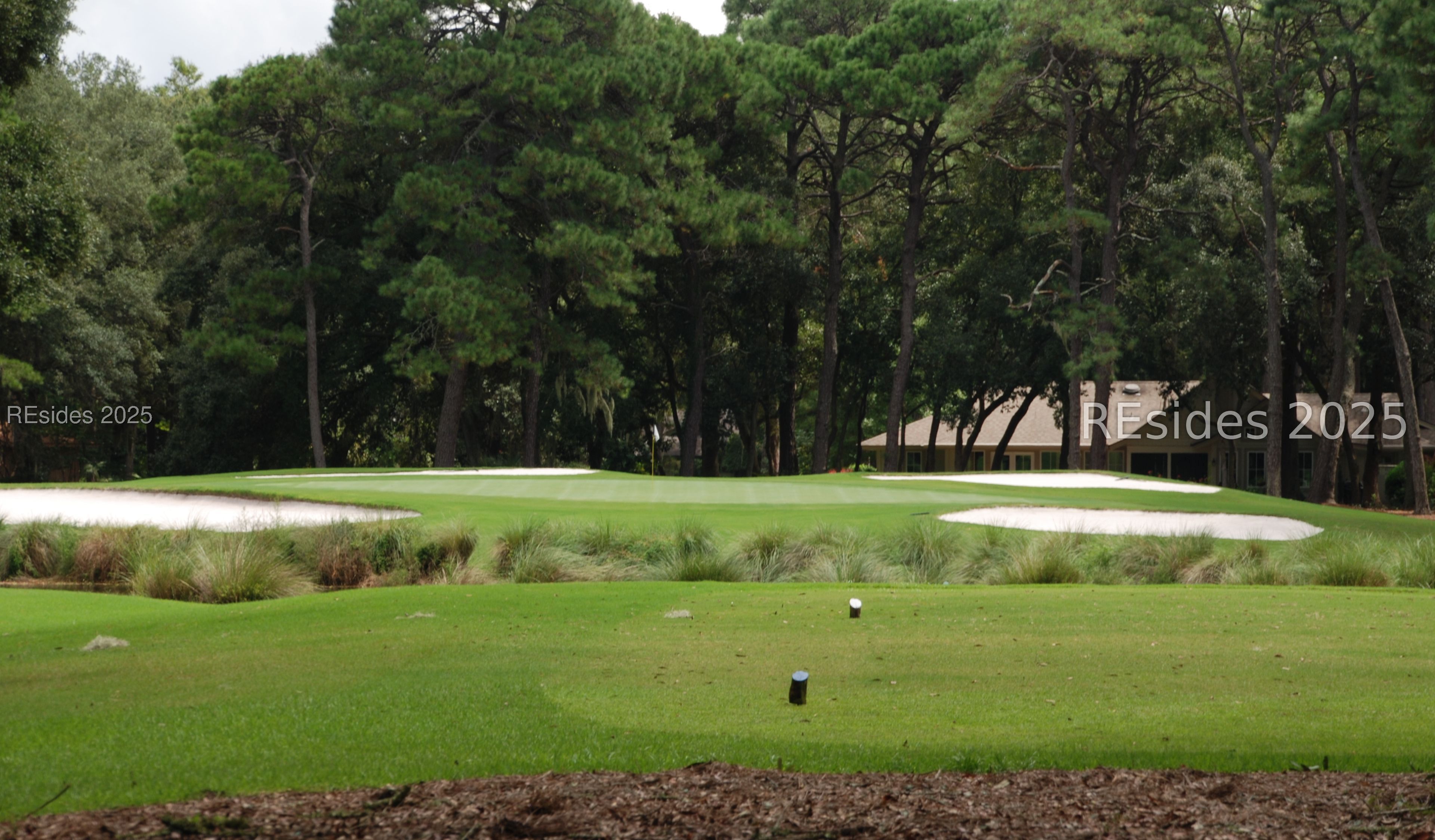 2 Resolute Place Hilton Head Island, SC 29928 - Photo 54 of 56