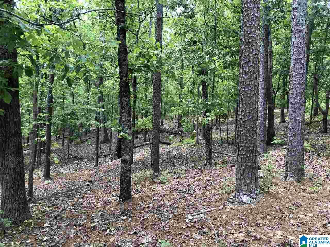 230 Copper Springs Road Odenville, AL 35120 - Photo 17 of 42