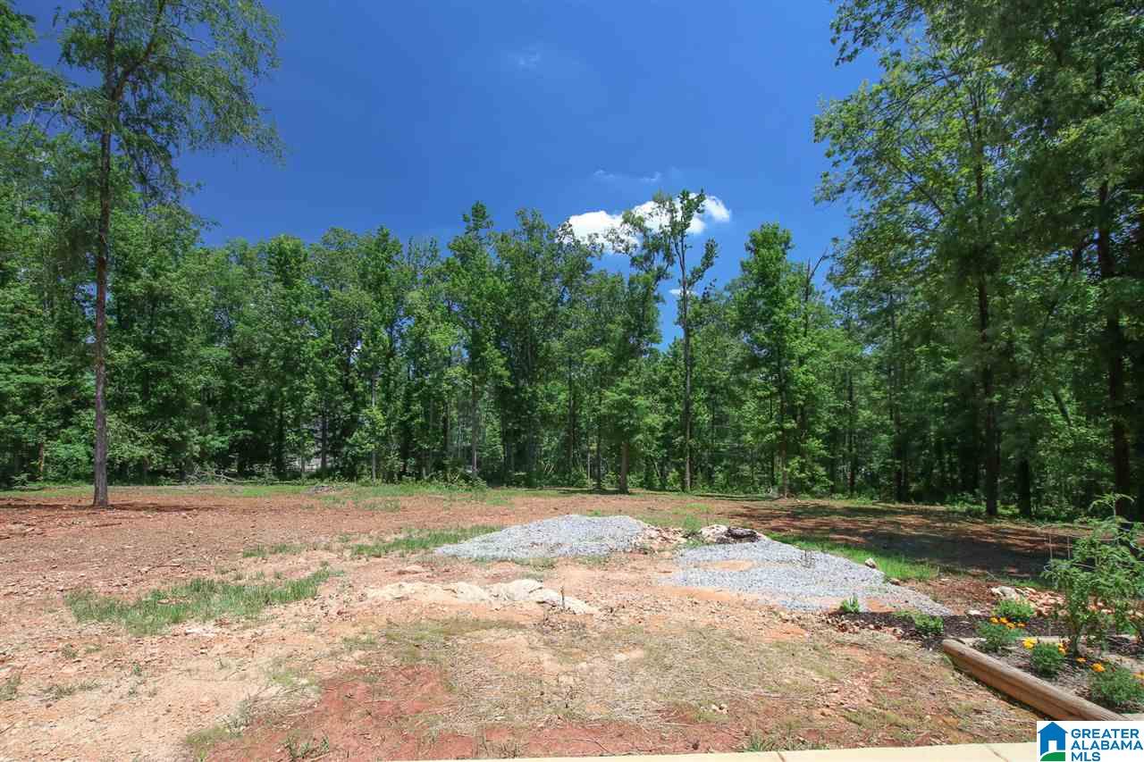 114 Lockridge Lane Riverside, AL 35135 - Photo 47 of 48