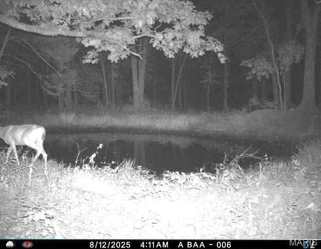 6552 High Point Road Montreal, MO 65591 - Photo 63 of 84