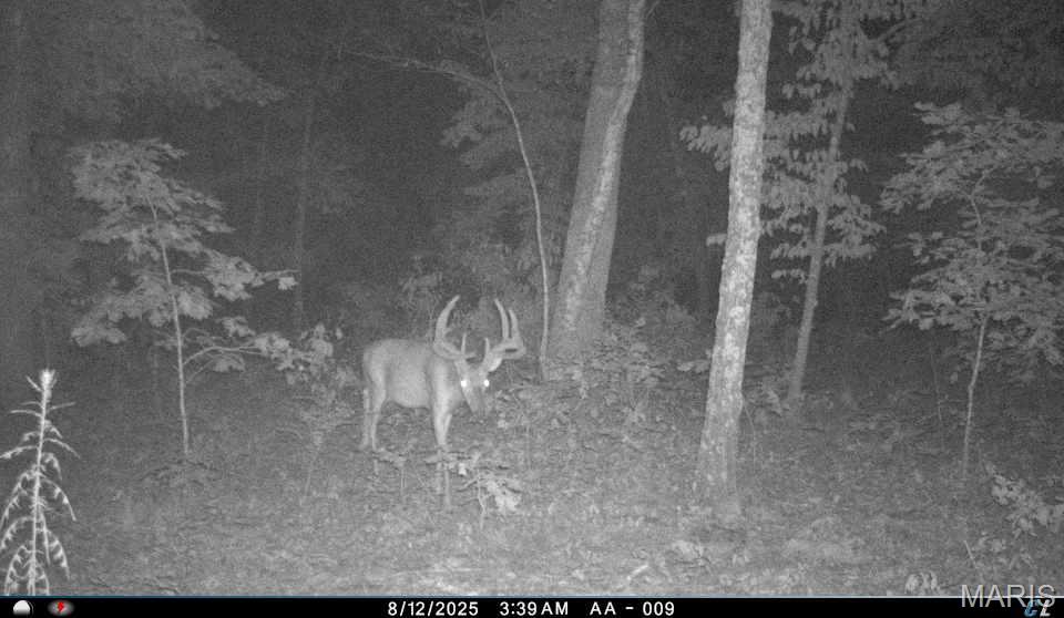 6552 High Point Road Montreal, MO 65591 - Photo 75 of 84