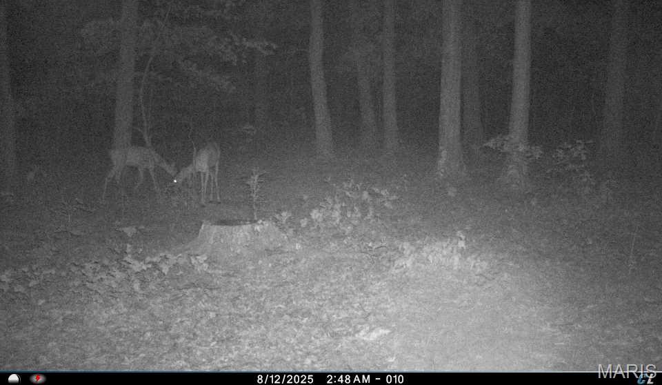 6552 High Point Road Montreal, MO 65591 - Photo 76 of 84