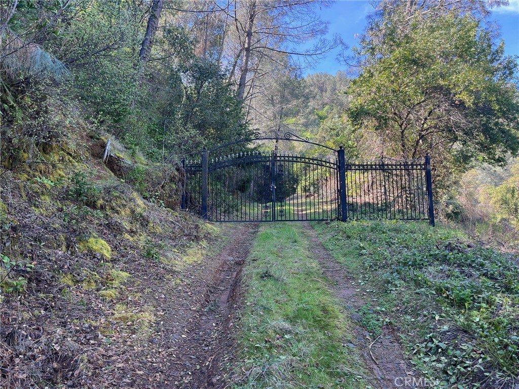 6189 Soda Bay Road Kelseyville, CA 95451 - Photo 2 of 5 a view of a backyard with large trees