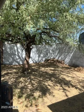 a view of a yard with a tree