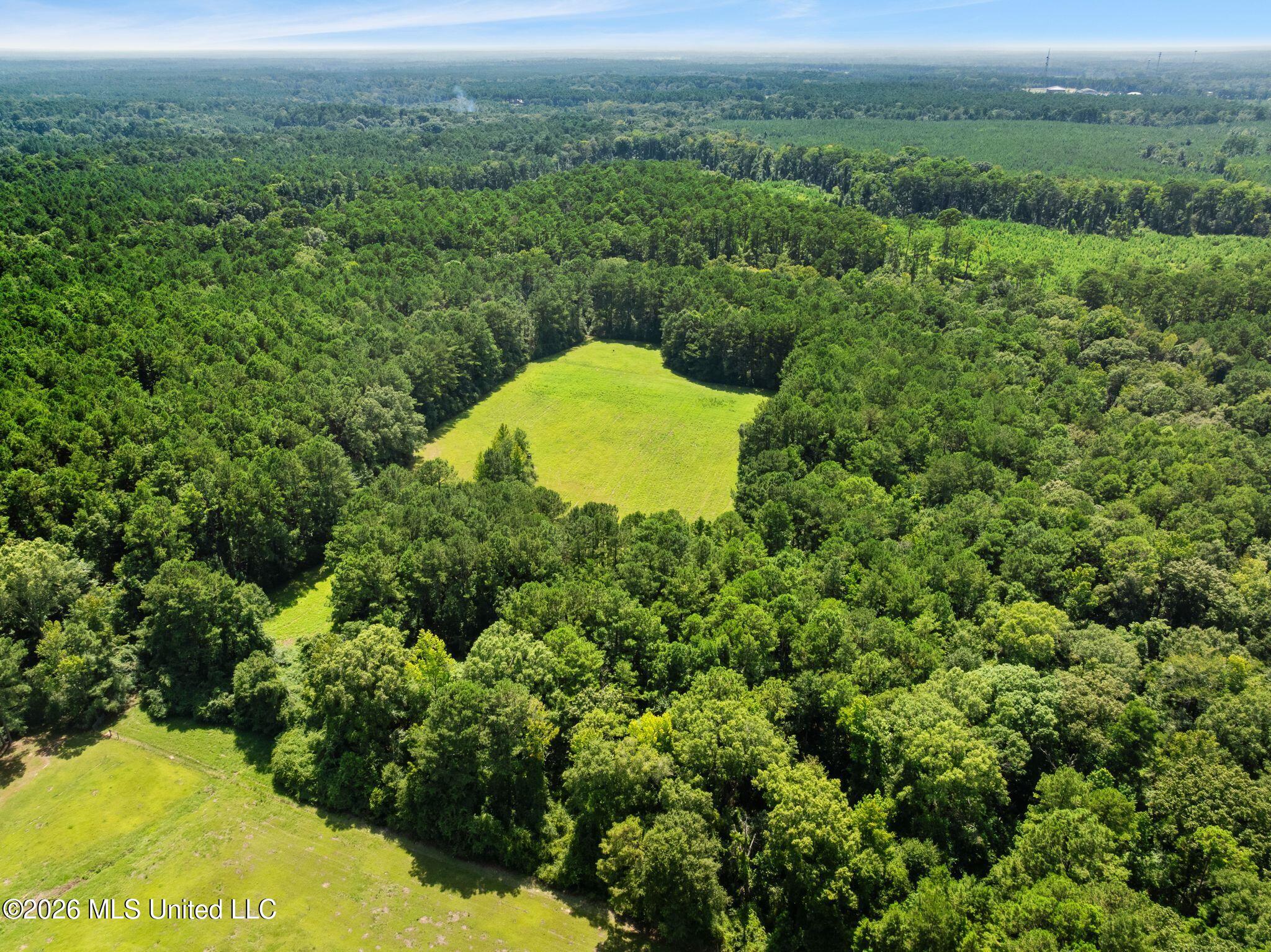 2111 Old Brookhaven Road Summit, MS 39666 - Photo 86 of 102 2111_Old_Brookhaven_Rd-112