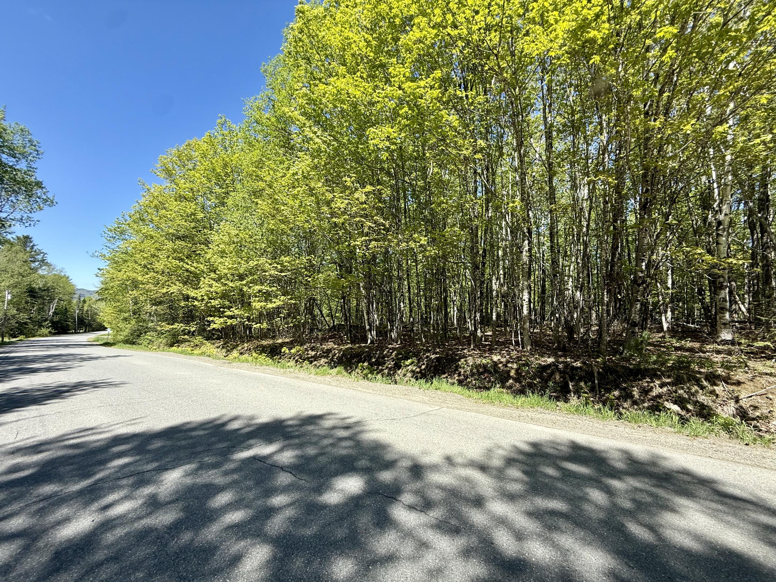 Lot34 I Scammon Road Greenville, ME 04441 - Photo 6 of 10 IMG_7679