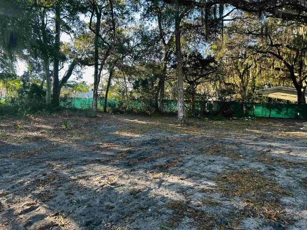 a view of a tree in the middle of a yard