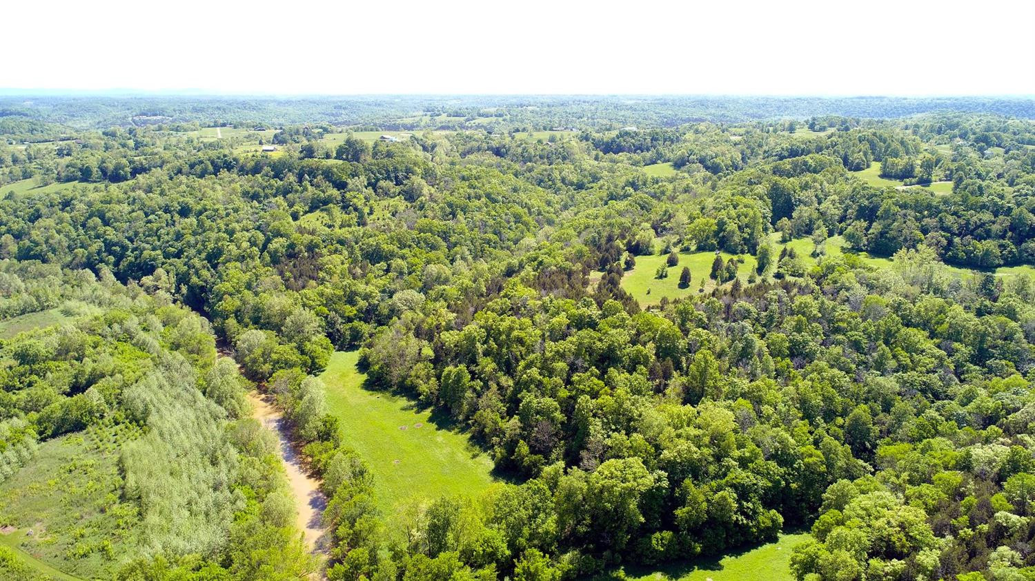 460 Red River Road Irvine, KY 40336 - Photo 50 of 53 Privacy at it's best!