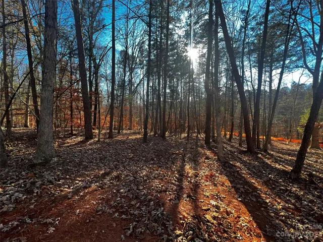 a view of a backyard with trees