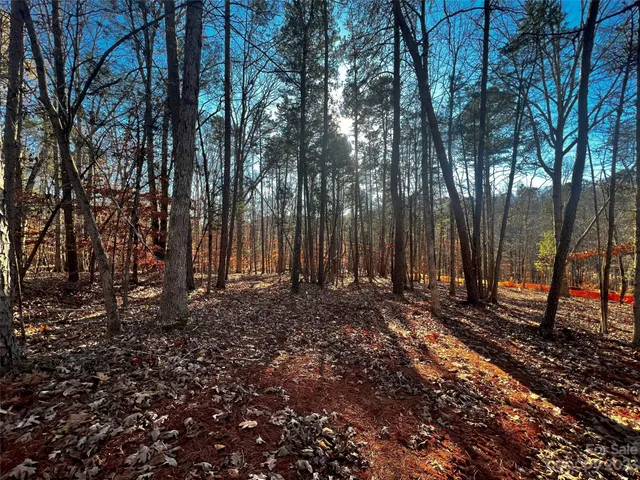a view of a backyard with trees