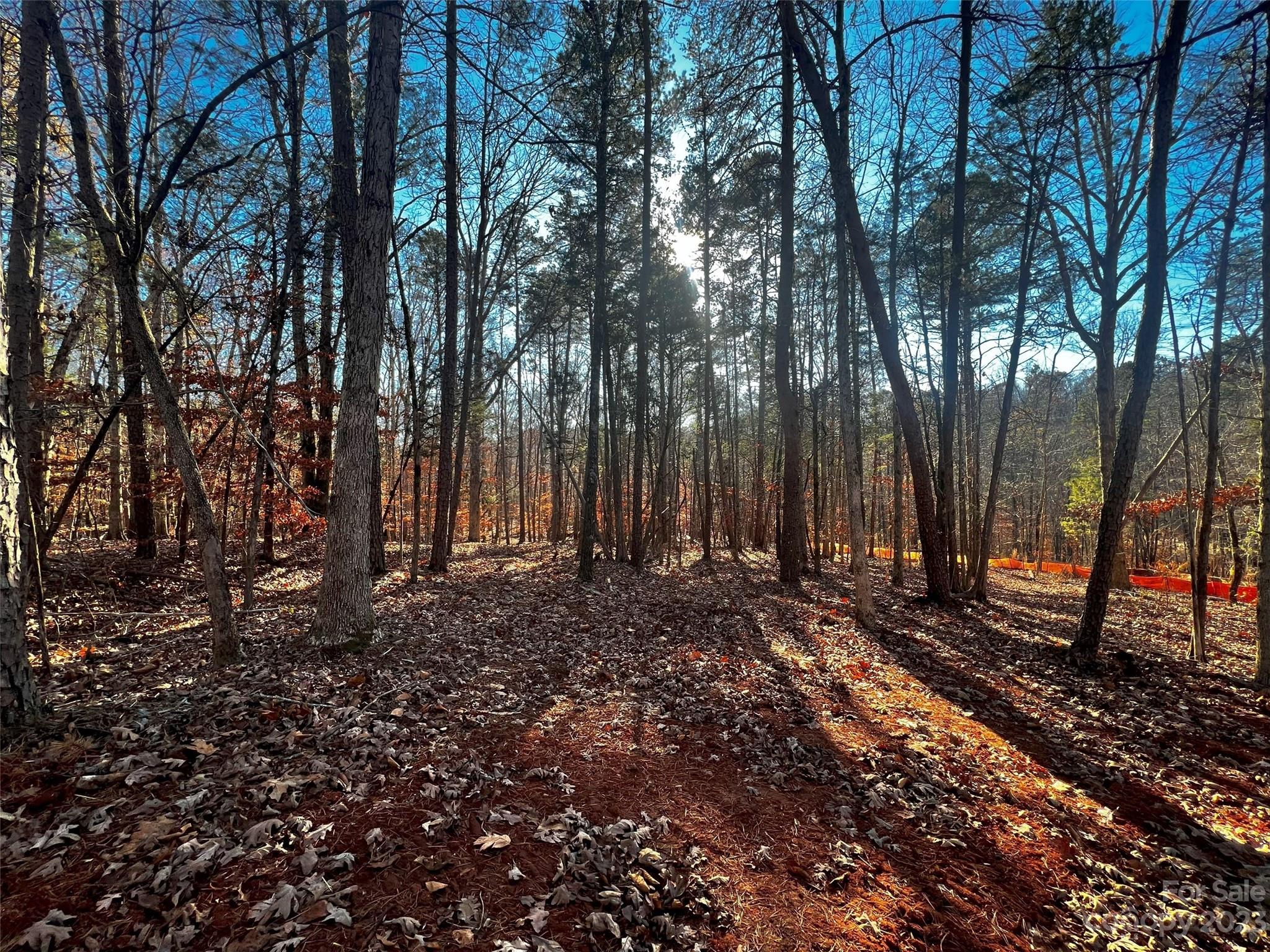 157 Copper Pne Lane, Unit 7 Davidson, NC 28036 - Photo 4 of 20 a view of a backyard with trees
