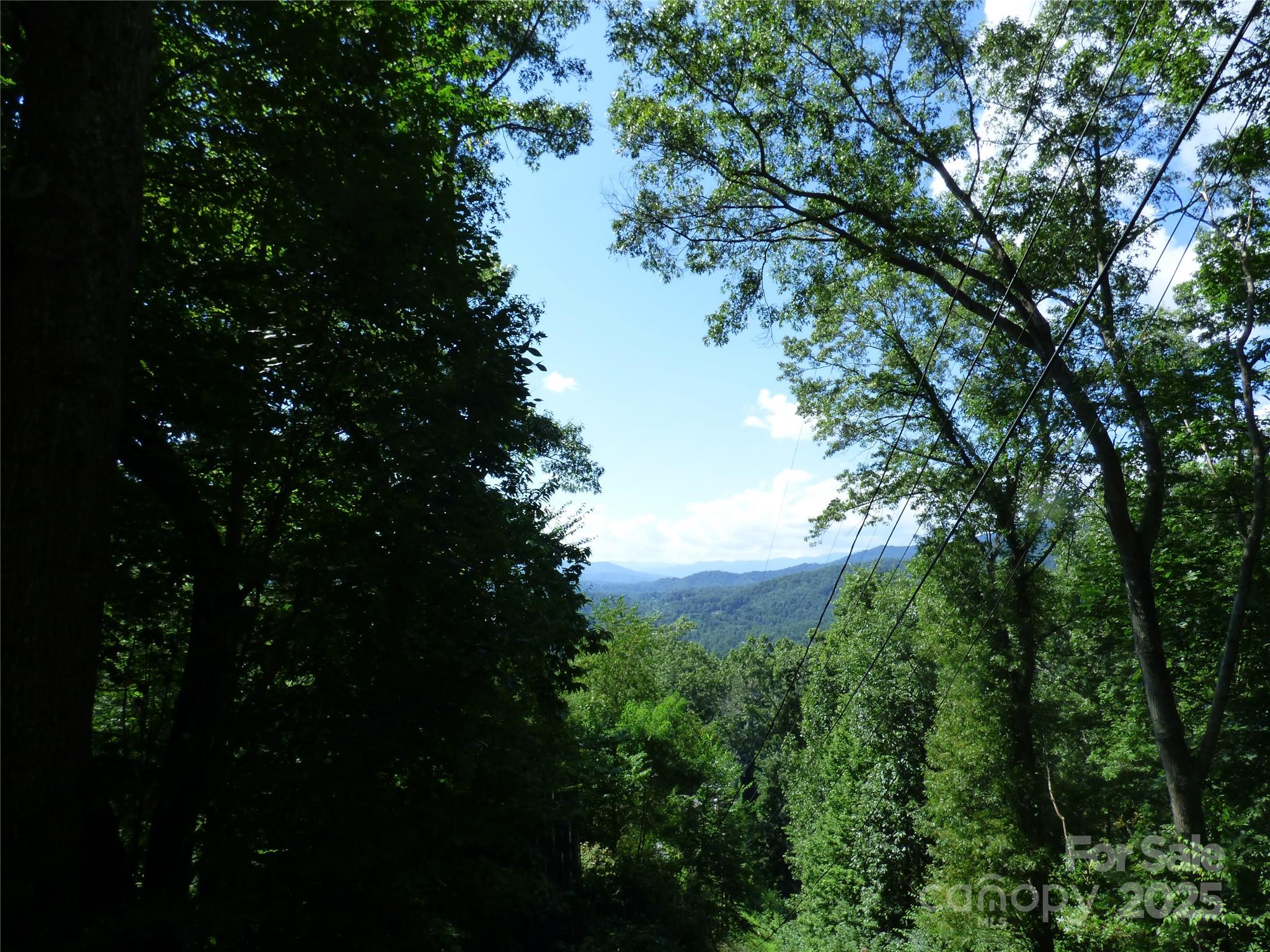 a view of a lake in a forest