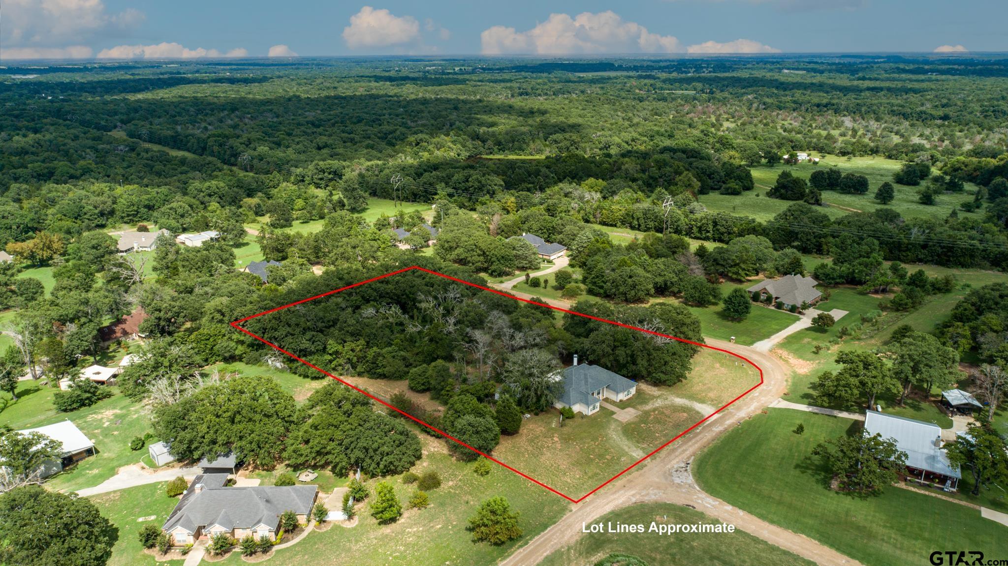 291 VZ County Road Canton, TX 75103 - Photo 41 of 42 an aerial view of residential houses with outdoor space and trees