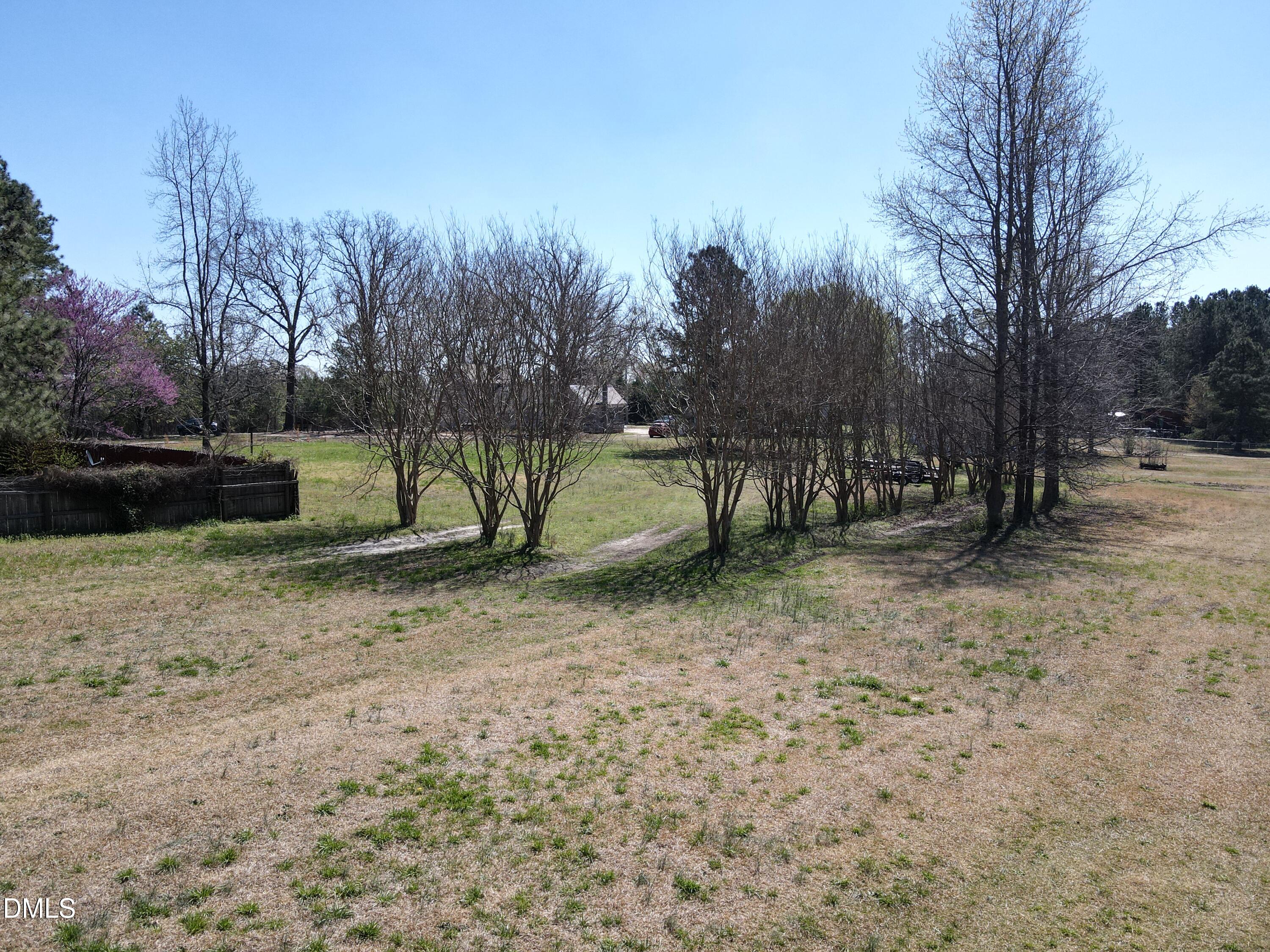 405 Old Eason Road Zebulon, NC 27597 - Photo 11 of 13 a view of backyard with green space
