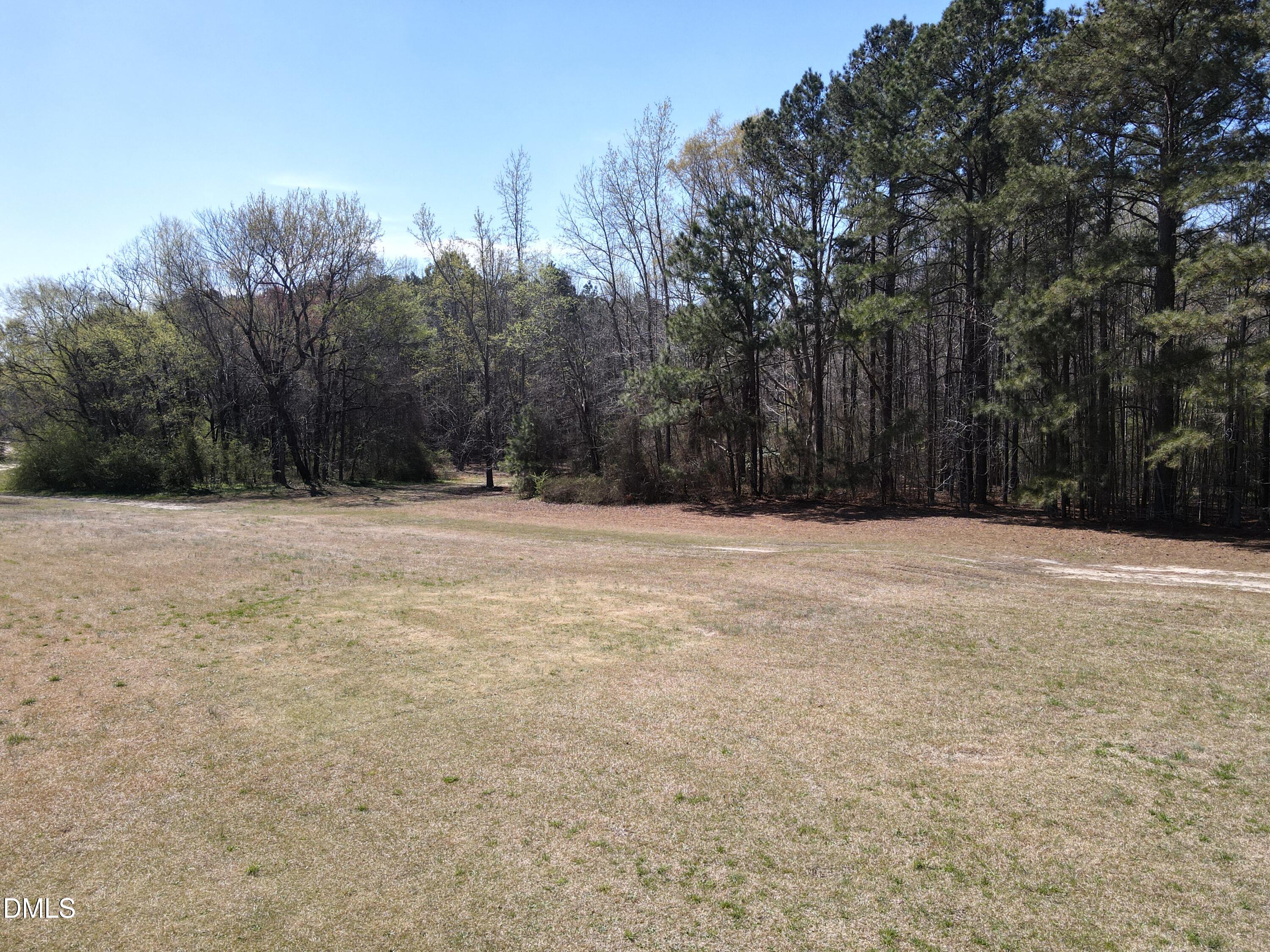 405 Old Eason Road Zebulon, NC 27597 - Photo 12 of 13 a view of empty space with trees