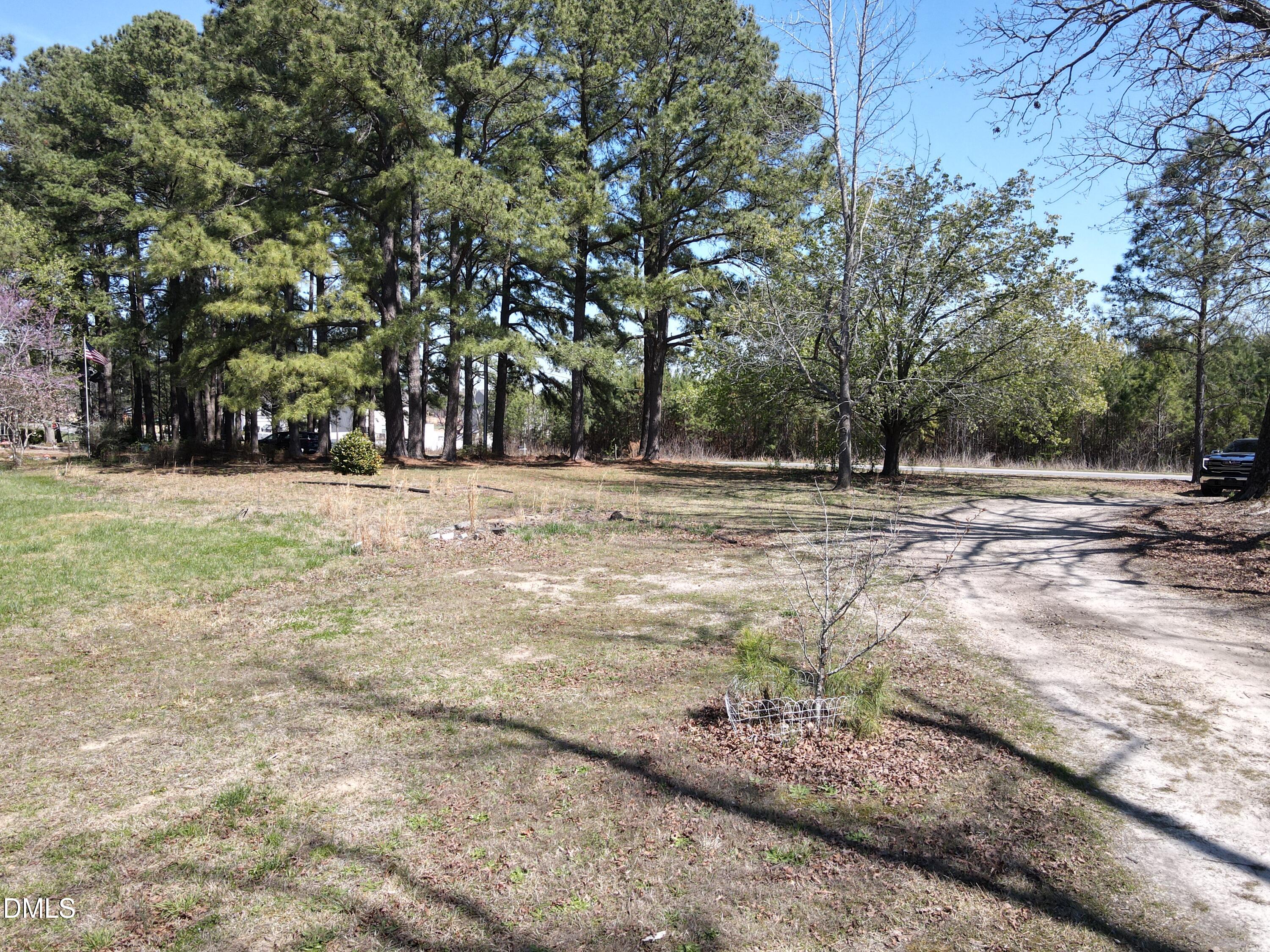 405 Old Eason Road Zebulon, NC 27597 - Photo 13 of 13 a view of a yard with trees
