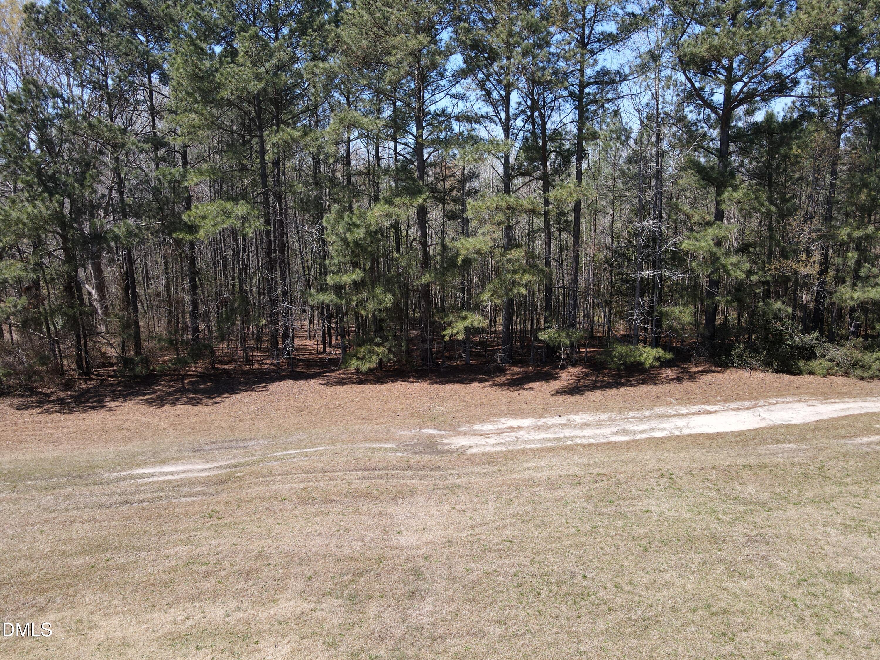 405 Old Eason Road Zebulon, NC 27597 - Photo 7 of 13 a view of water covered with trees