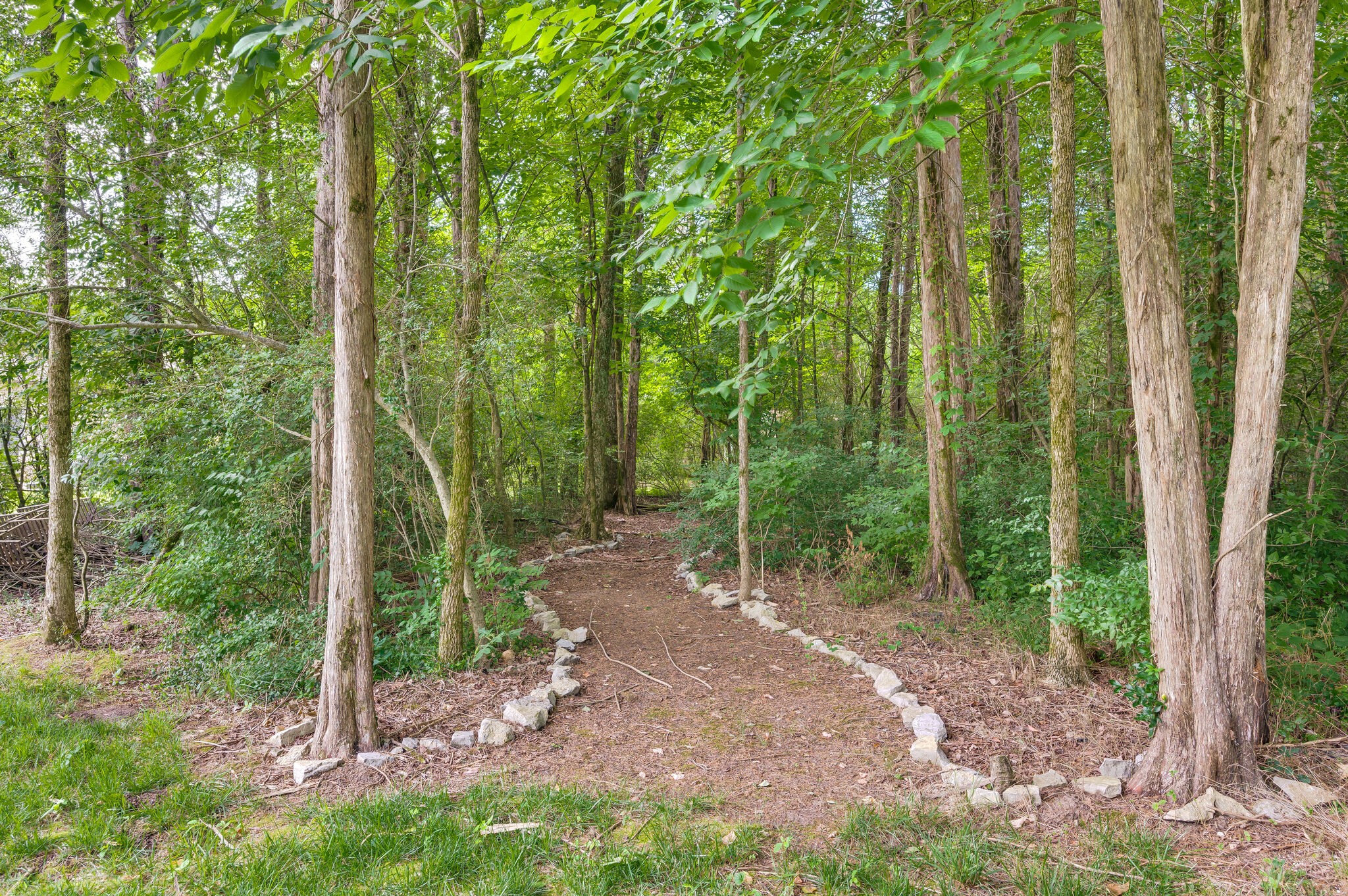 284 Spring Hill Road Mount Juliet, TN 37122 - Photo 30 of 33 Gallery Image 30