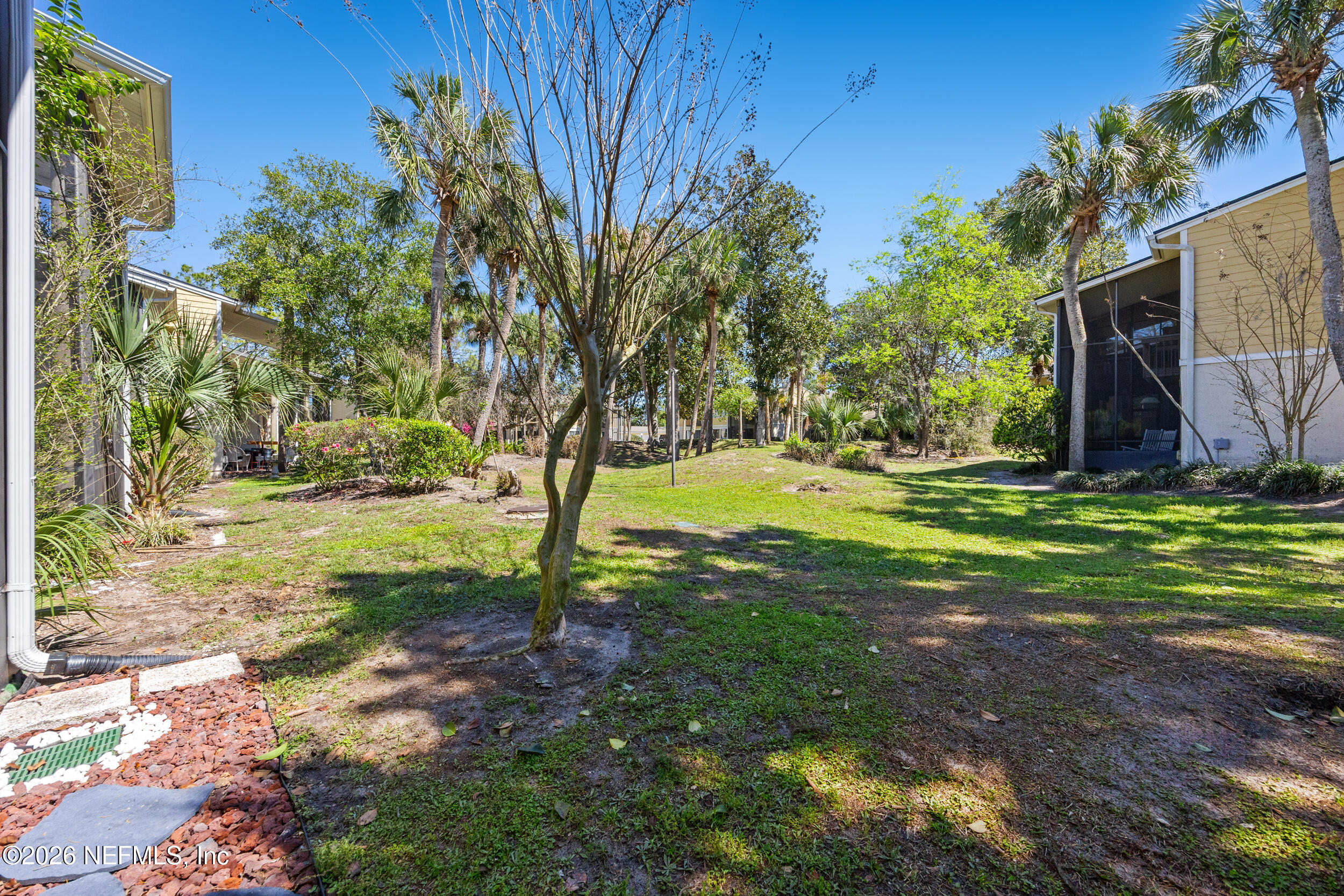 7852 Playa Del Rey Court Jacksonville, FL 32256 - Photo 30 of 33 a view of a yard with a tree