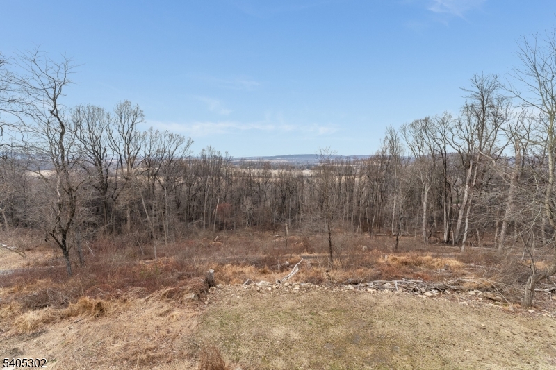 51 Staats Road Bloomsbury, NJ 08804 - Photo 27 of 45