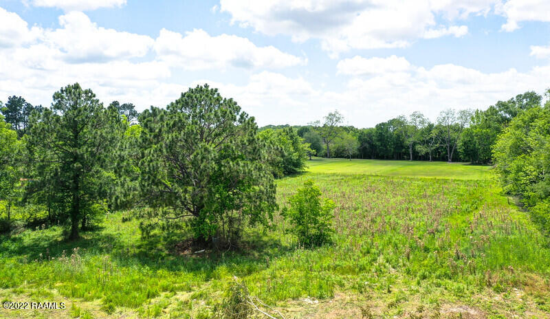 Tbd Claude Viator Road New Iberia, LA 70560 - Photo 11 of 11 Gallery Image 11
