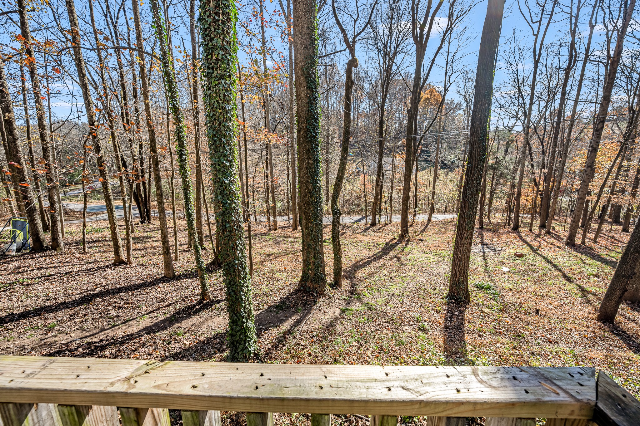 291 Joe Hart Road Shelbyville, TN 37160 - Photo 14 of 43