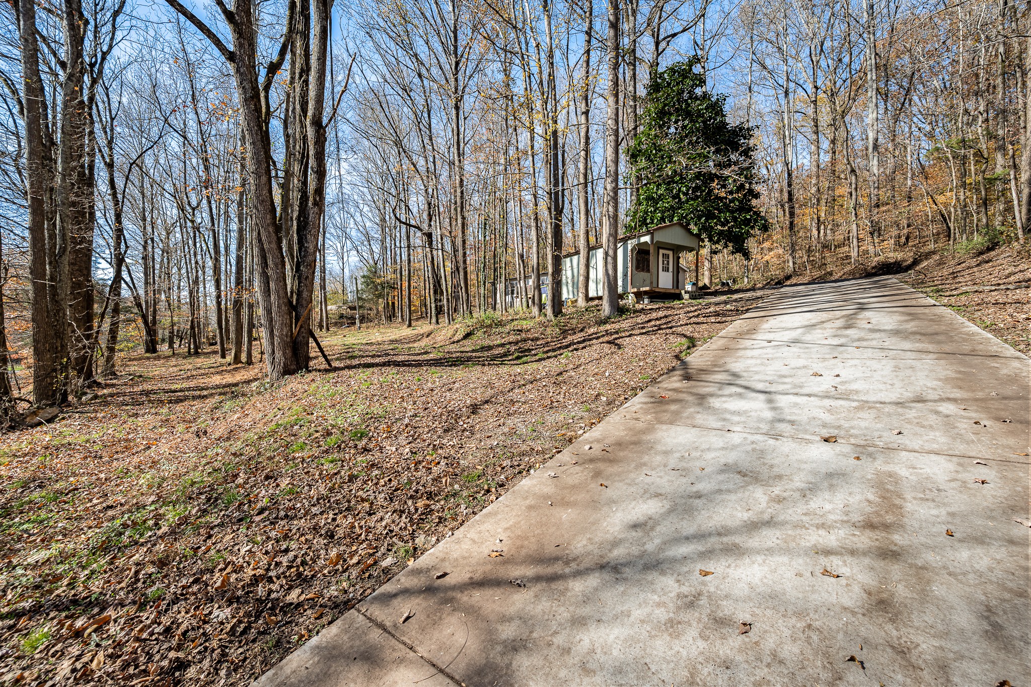 291 Joe Hart Road Shelbyville, TN 37160 - Photo 3 of 43