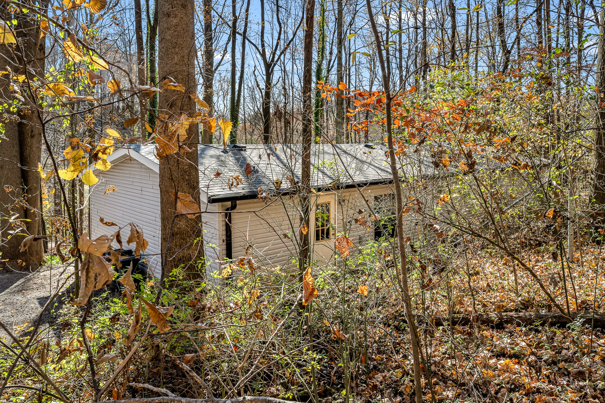 291 Joe Hart Road Shelbyville, TN 37160 - Photo 41 of 43