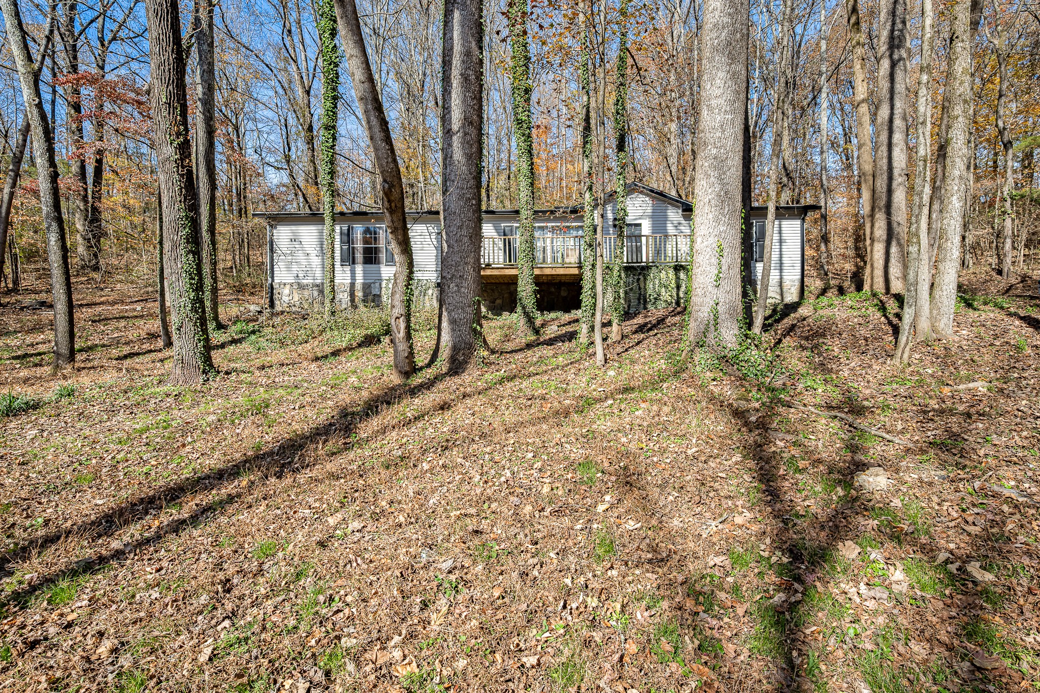 291 Joe Hart Road Shelbyville, TN 37160 - Photo 5 of 43